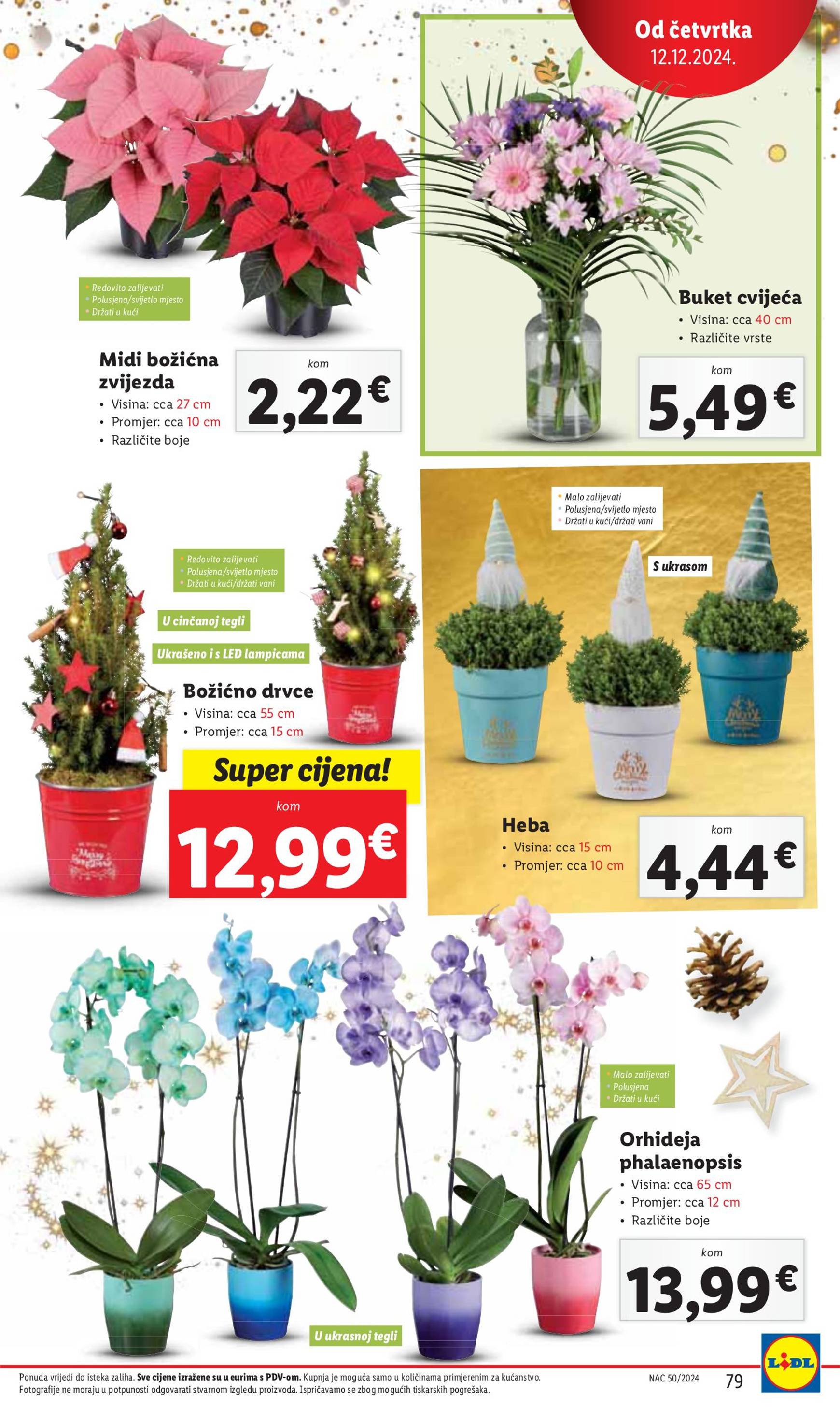 lidl - Lidl katalog vrijedi od 09.12. do 15.12. - page: 79