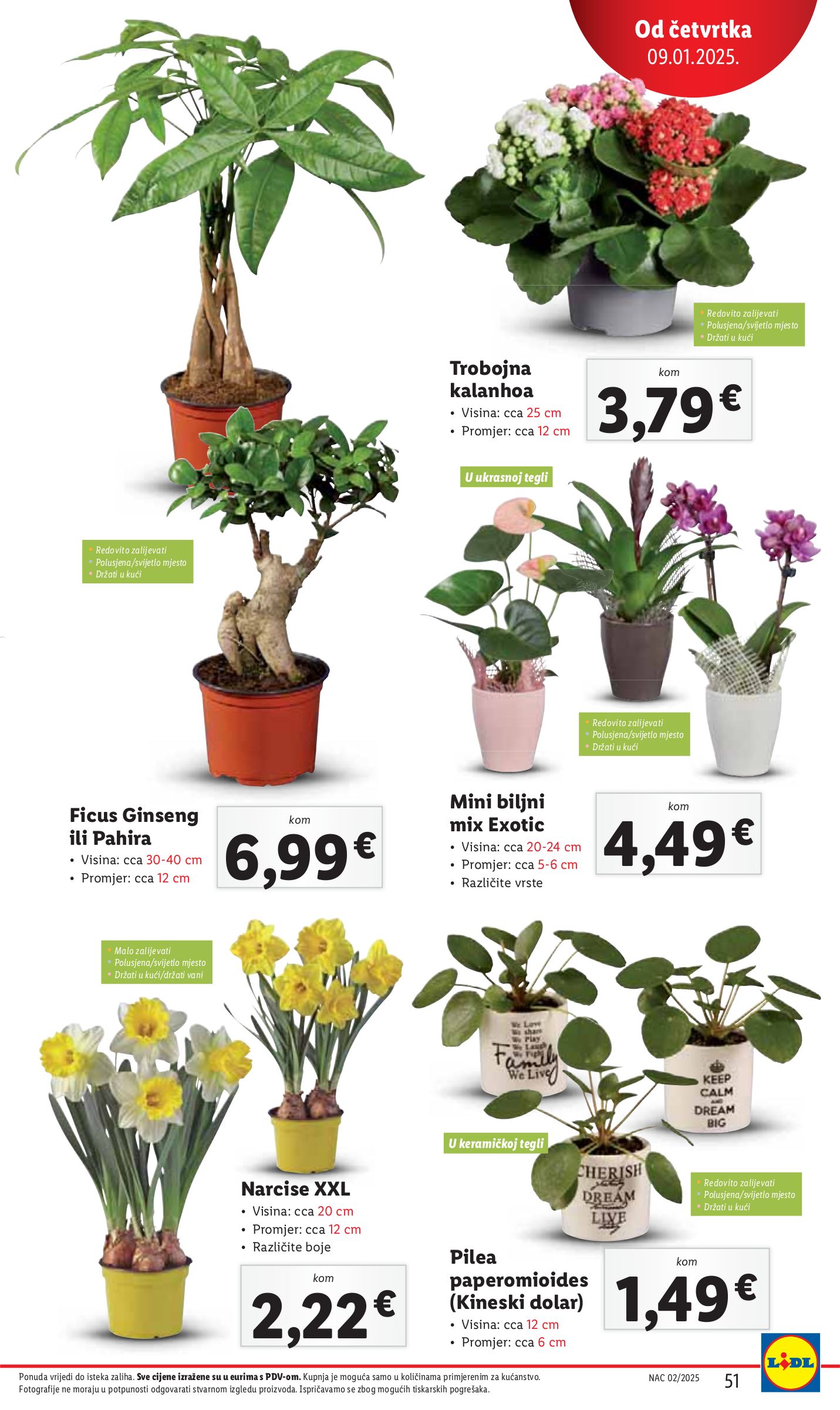 lidl - Lidl katalog vrijedi od 07.01. do 11.01. - page: 51