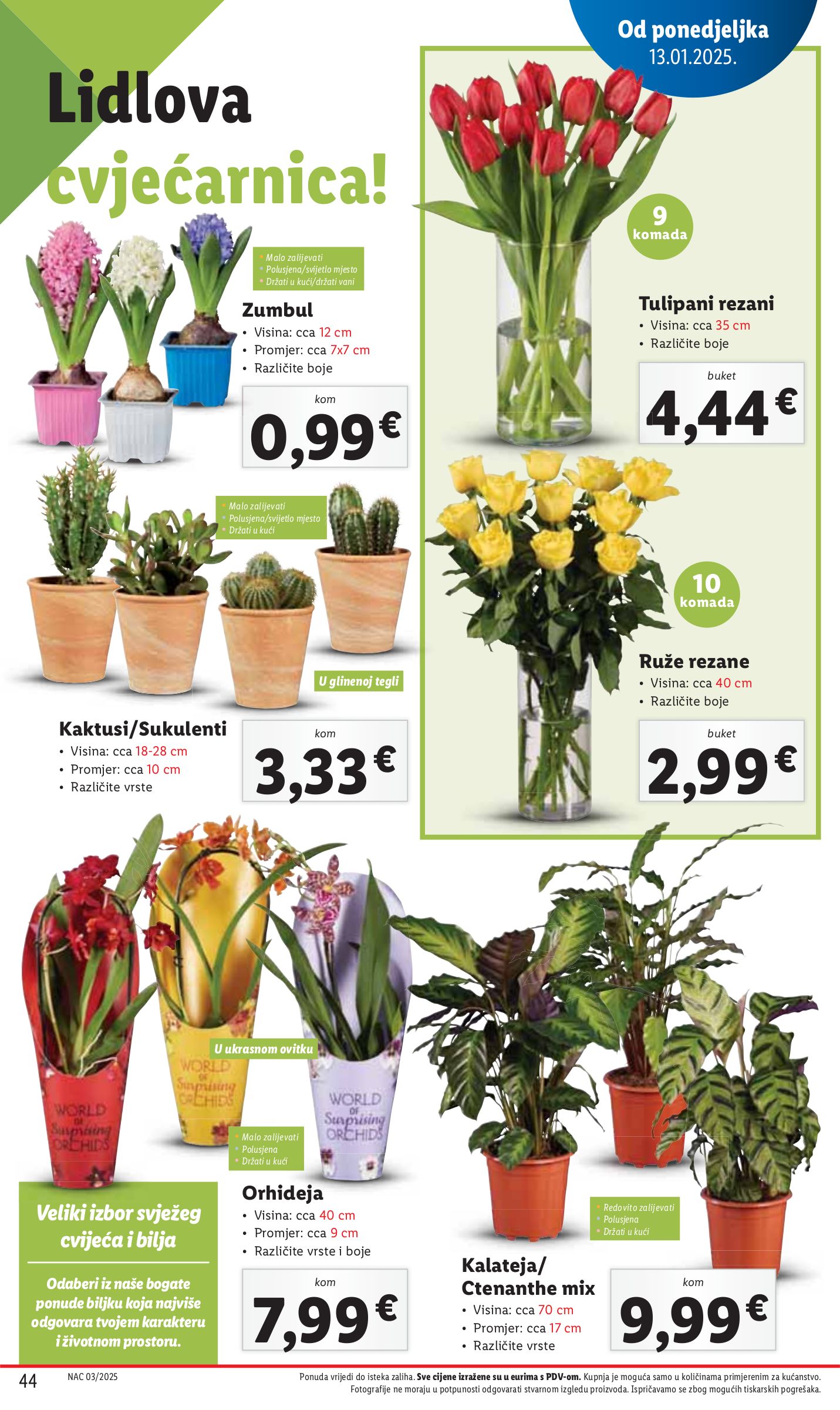 lidl - Lidl katalog vrijedi od 13.01. do 18.01. - page: 44