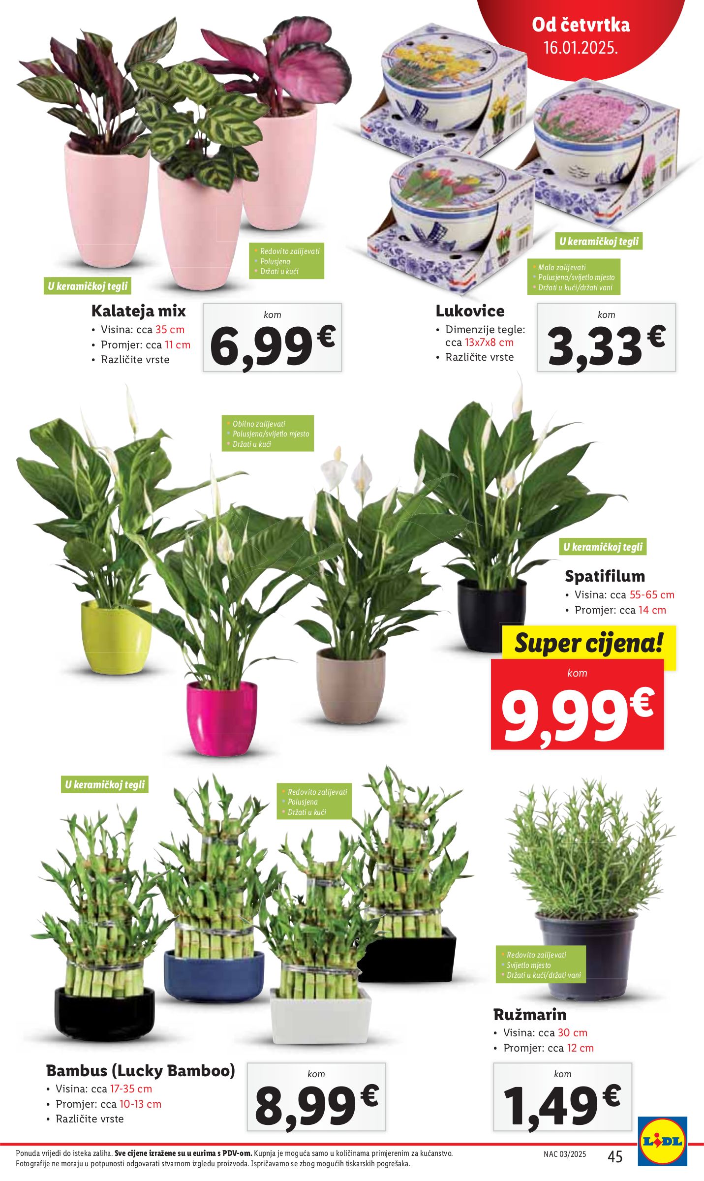 lidl - Lidl katalog vrijedi od 13.01. do 18.01. - page: 45