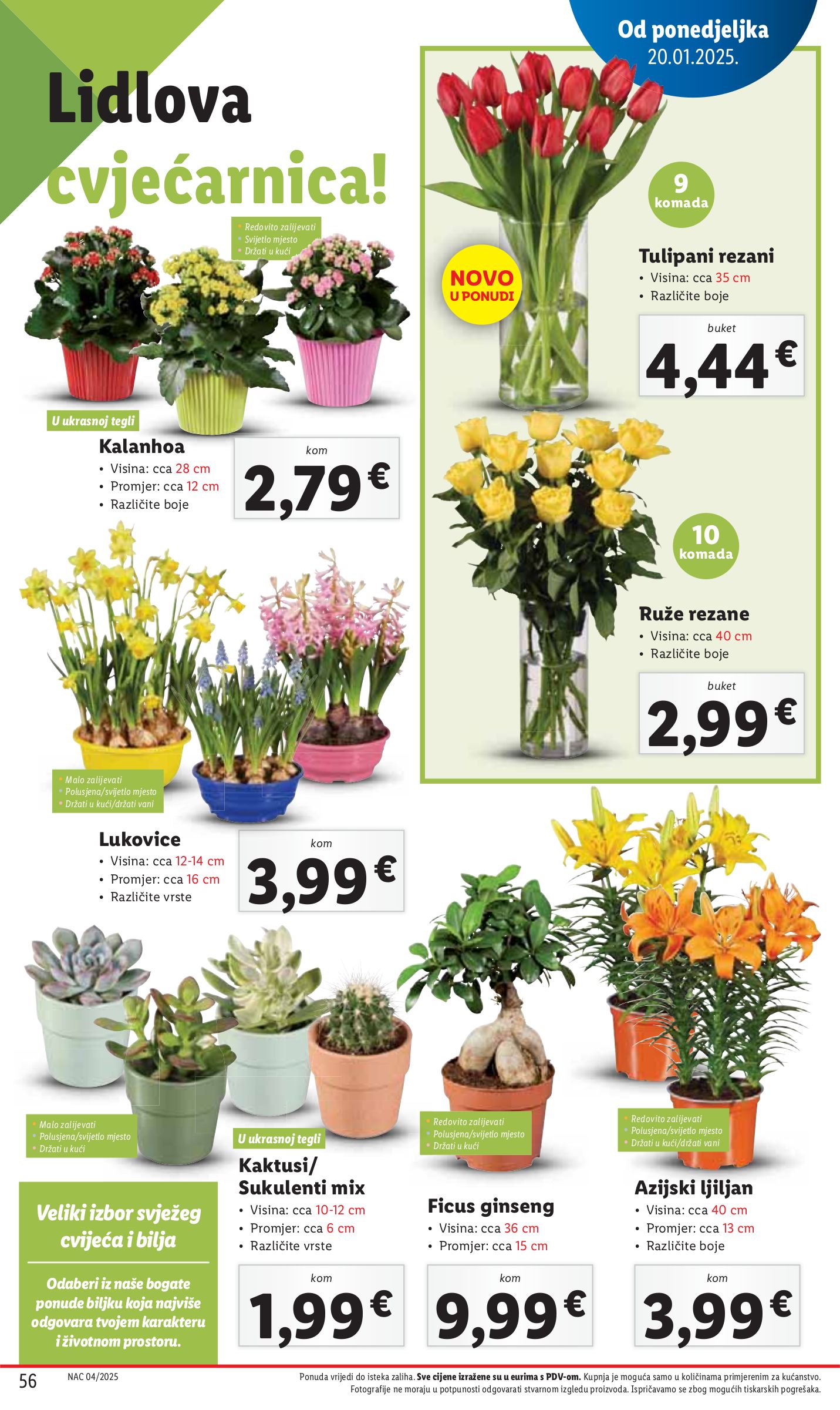 lidl - Lidl katalog vrijedi od 20.01. do 25.01. - page: 56