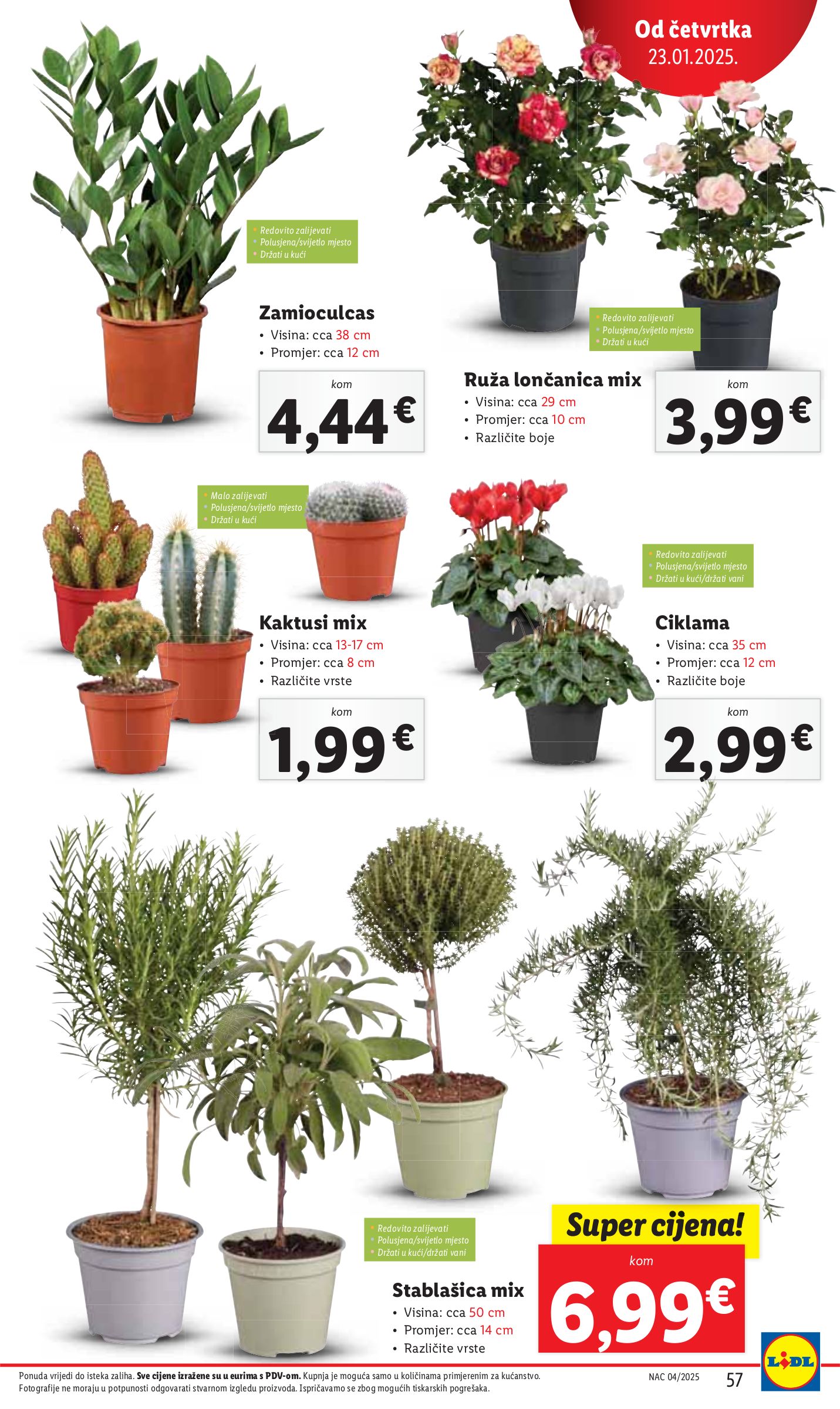 lidl - Lidl katalog vrijedi od 20.01. do 25.01. - page: 57