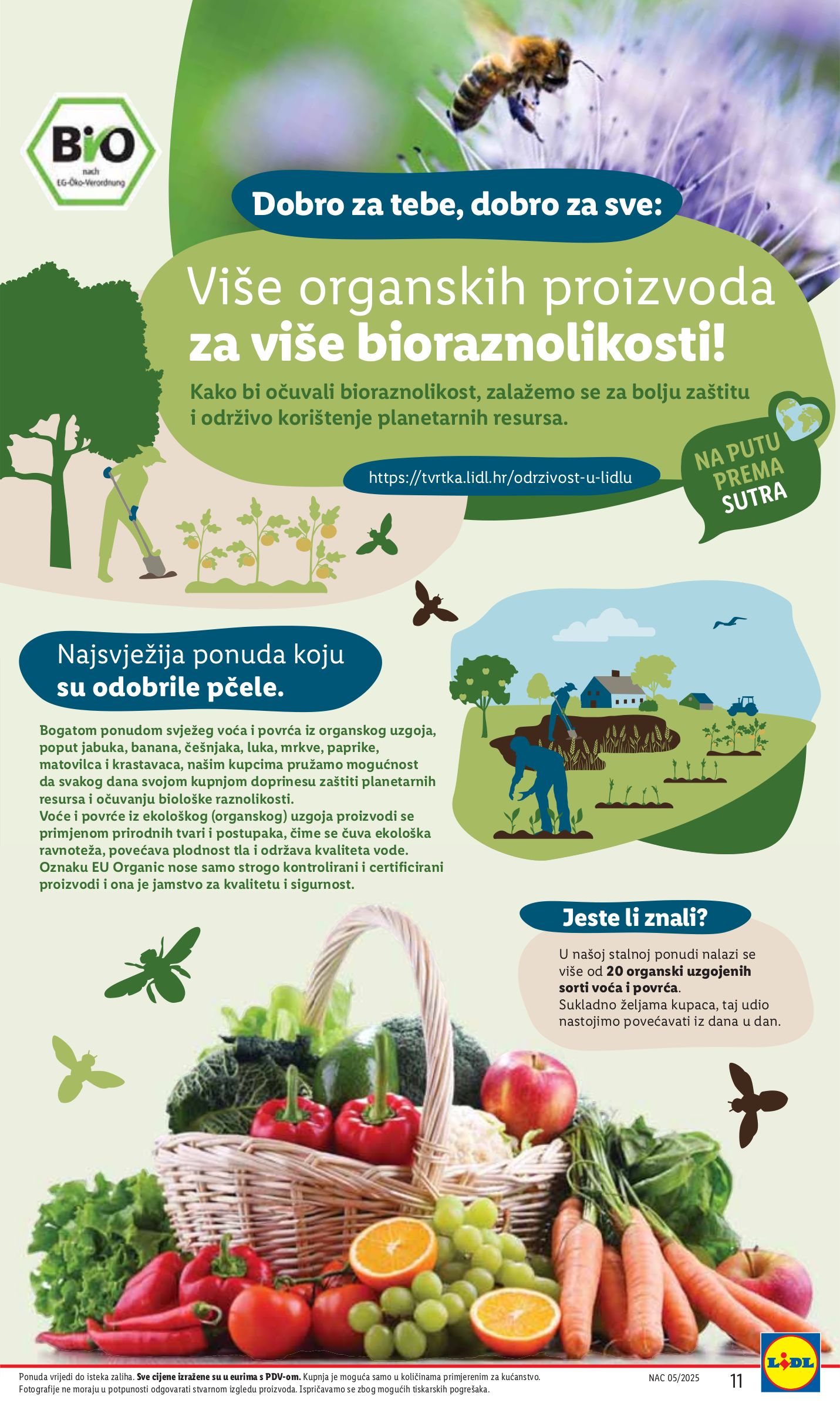 lidl - Lidl katalog vrijedi od 27.01. do 02.02. - page: 11