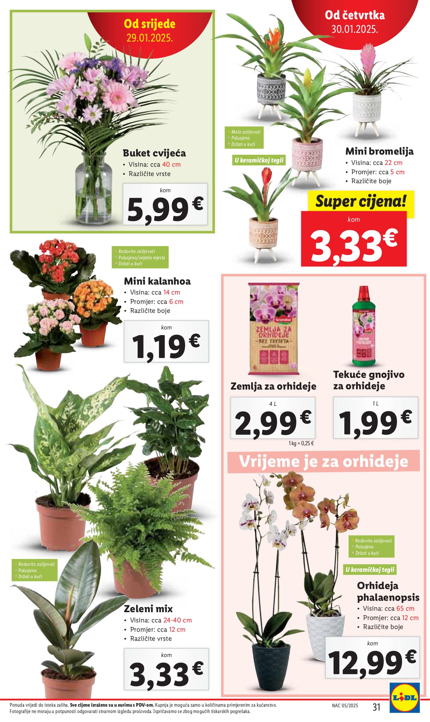 lidl - Lidl katalog vrijedi od 30.01. do 02.02. - page: 31