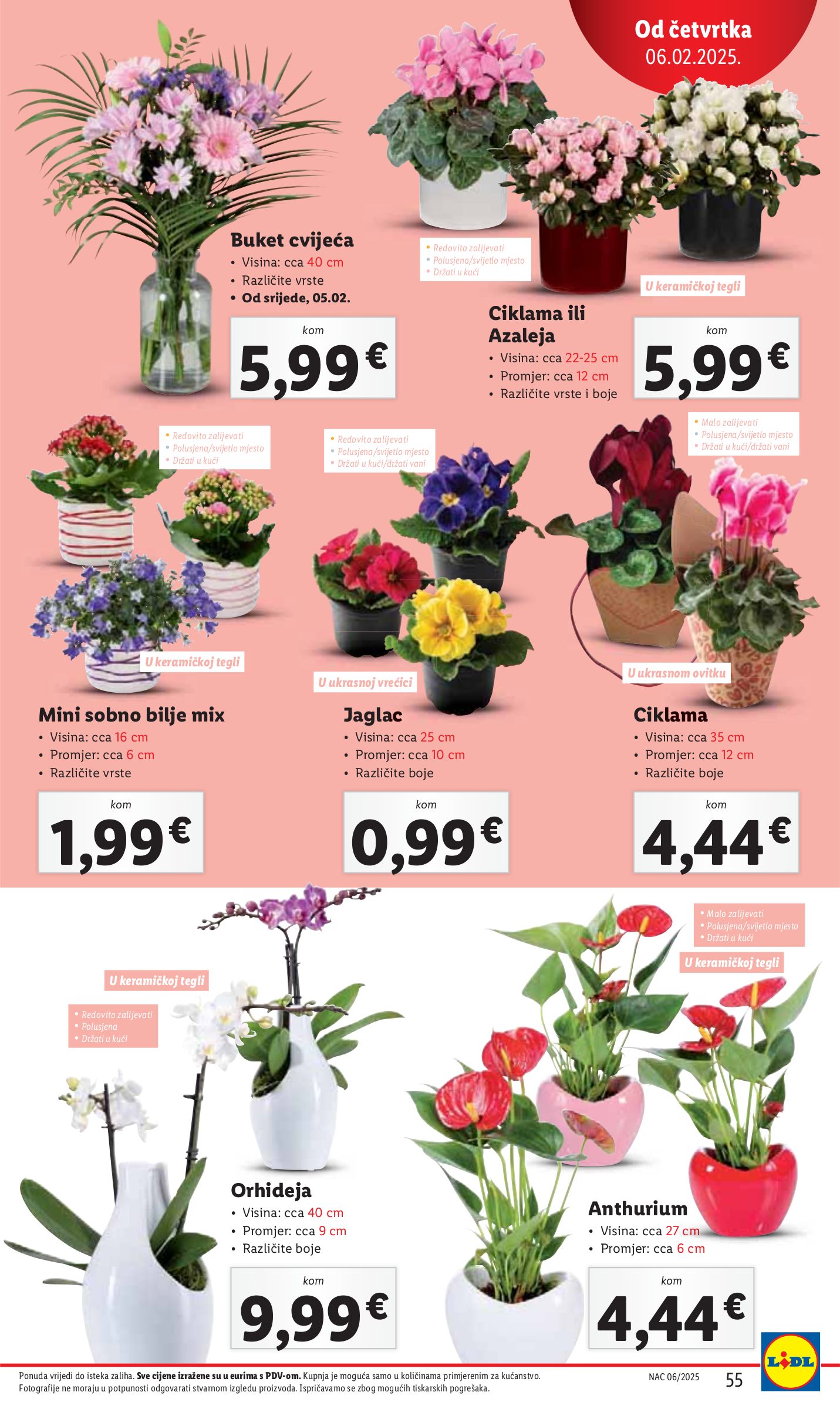 lidl - Lidl katalog vrijedi od 03.02. do 09.02. - page: 55