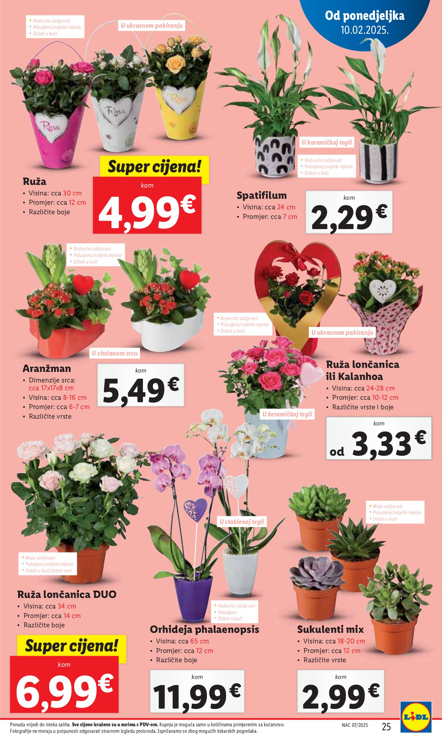 lidl - Lidl katalog vrijedi od 10.02. do 16.02. - page: 25