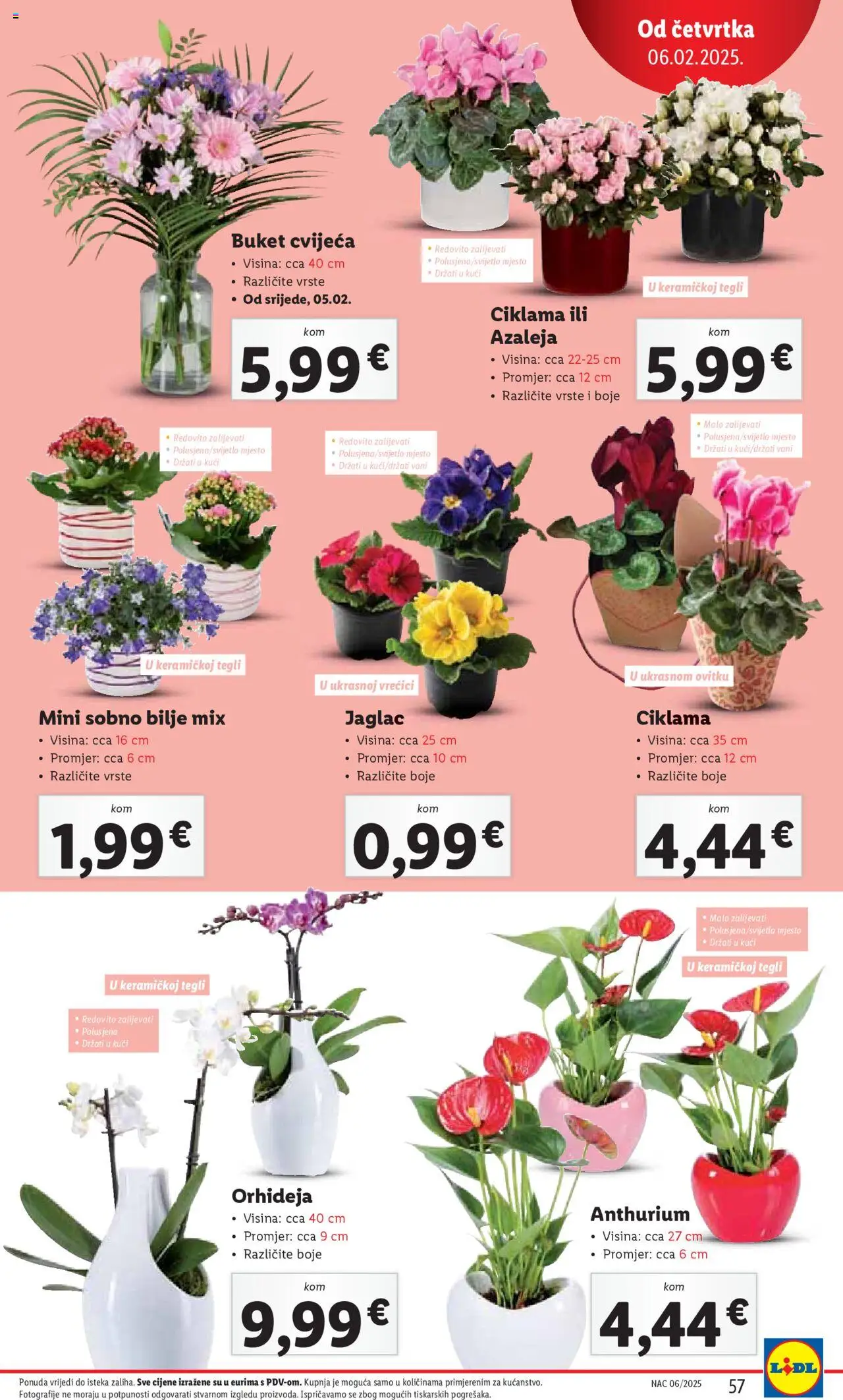 lidl - Katalog Lidl novi 03.02.2025 - 09.02.2025 - page: 57