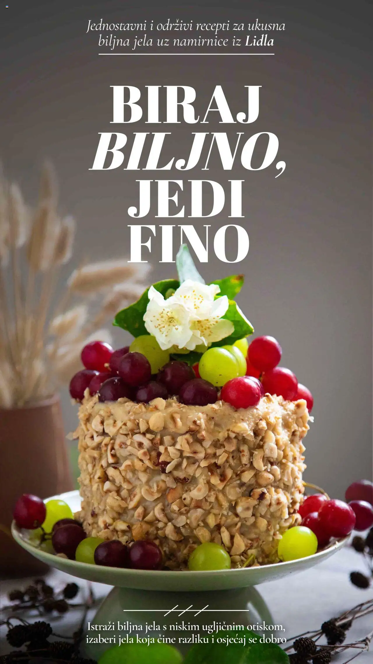 lidl - Biraj biljno, jedi fino Lidl novi od utorka 07.01.2025