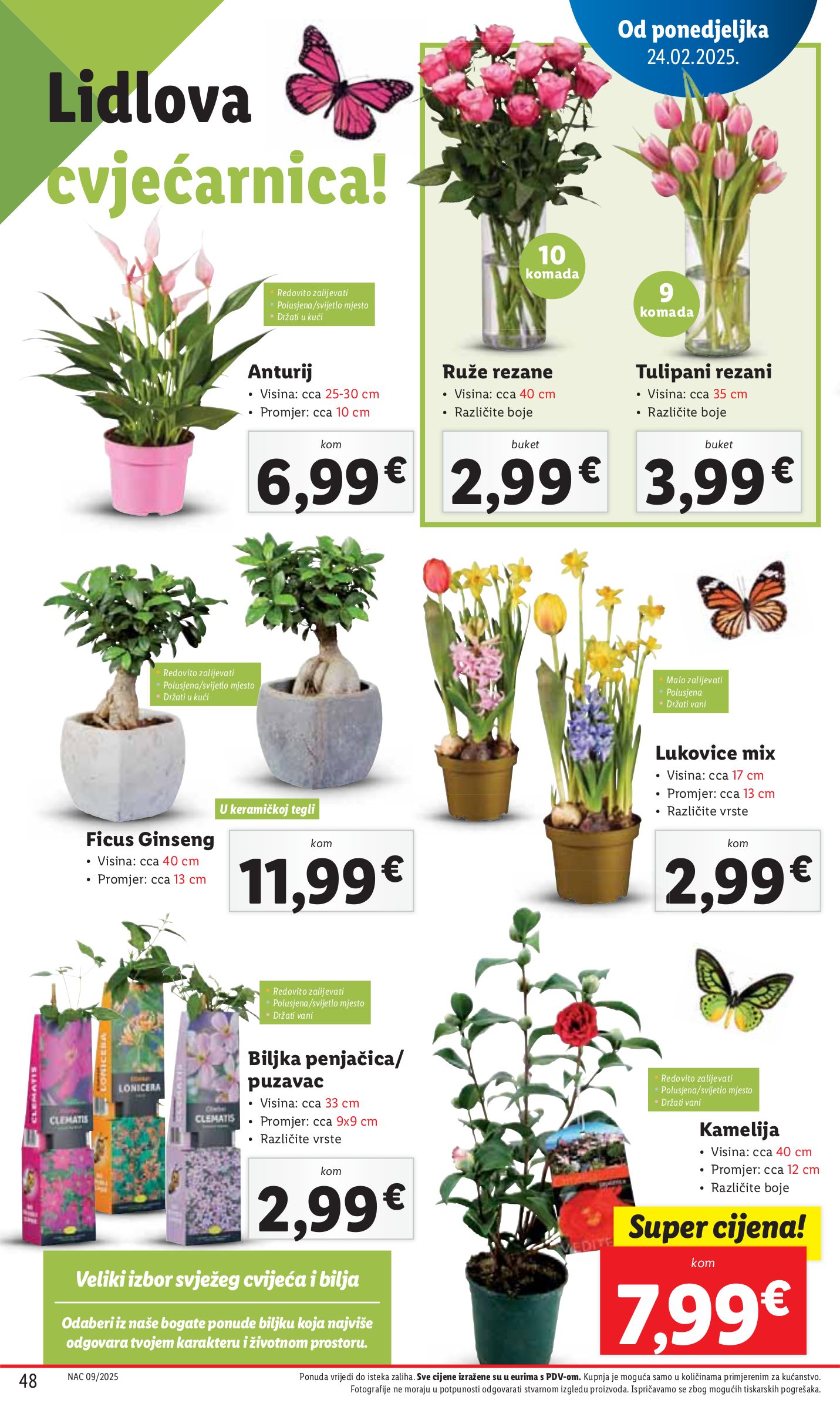 lidl - Lidl katalog vrijedi od 24.02. do 02.03. - page: 48