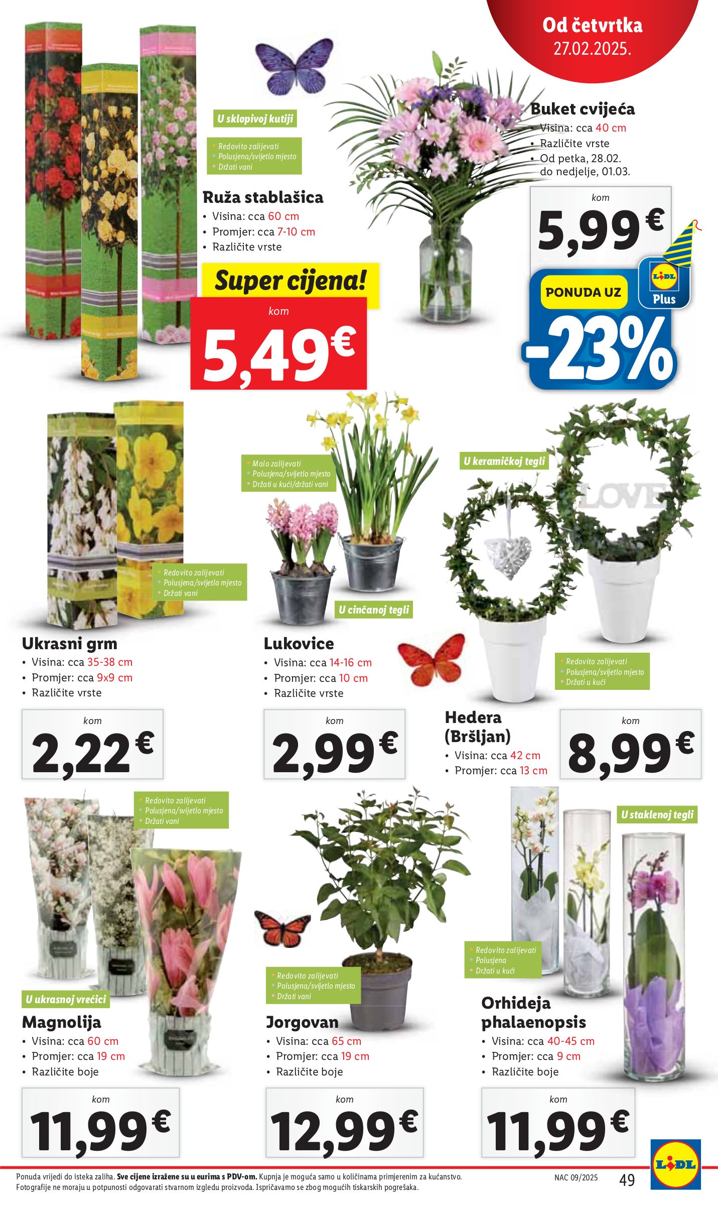 lidl - Lidl katalog vrijedi od 24.02. do 02.03. - page: 49