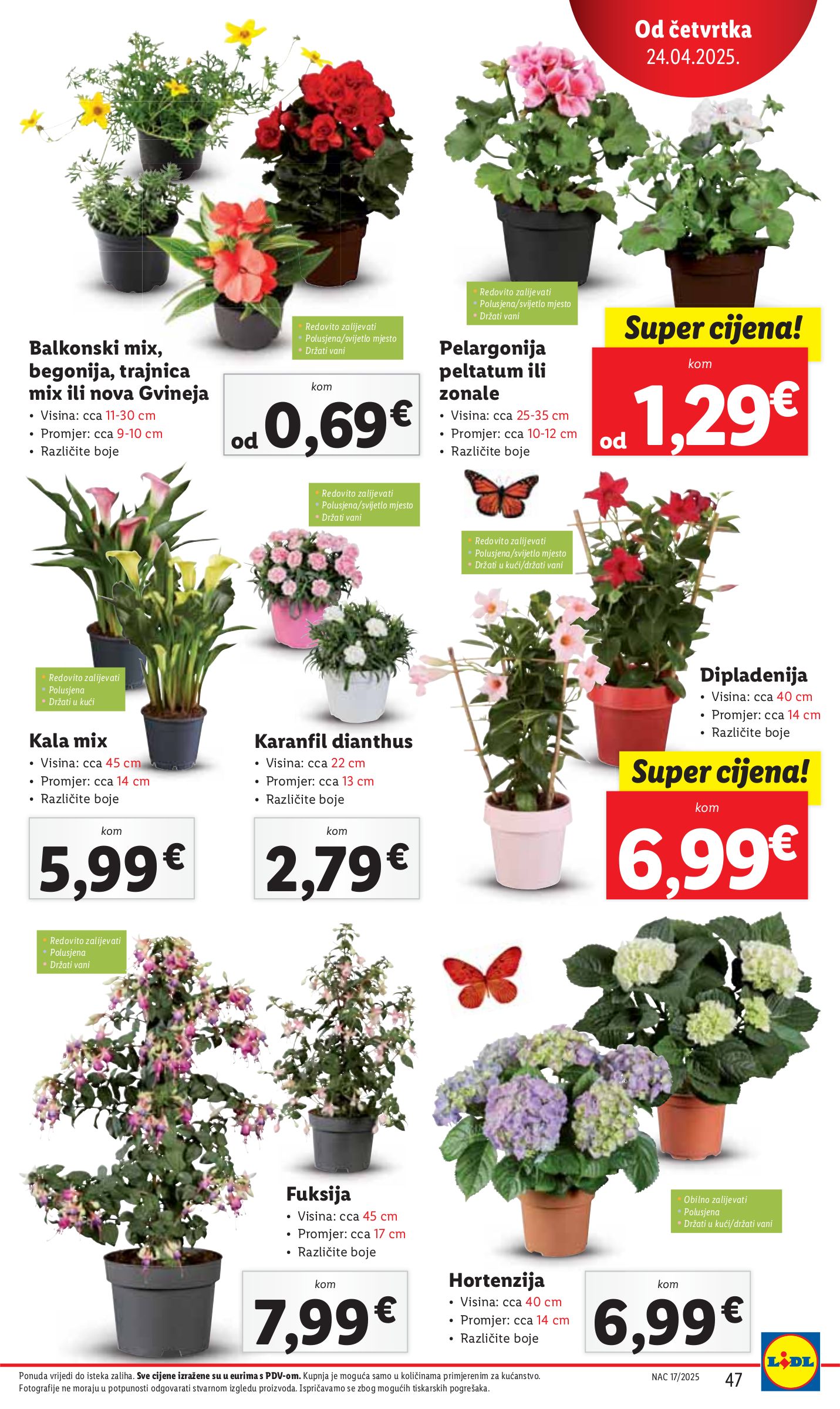 lidl - Lidl katalog vrijedi od 24.04. do 27.04. - page: 47