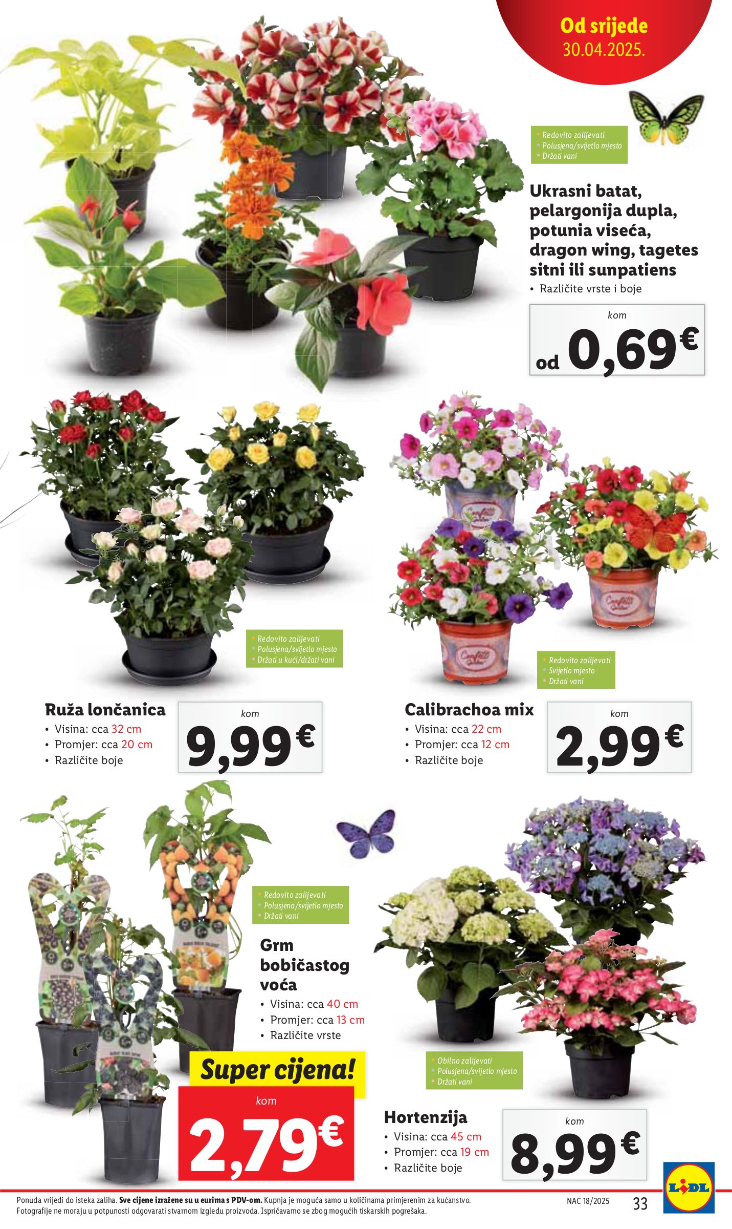 lidl - Lidl katalog vrijedi od 30.04. do 04.05. - page: 33 lidl - Lidl katalog vrijedi od 30.04. do 04.05. - page: 33