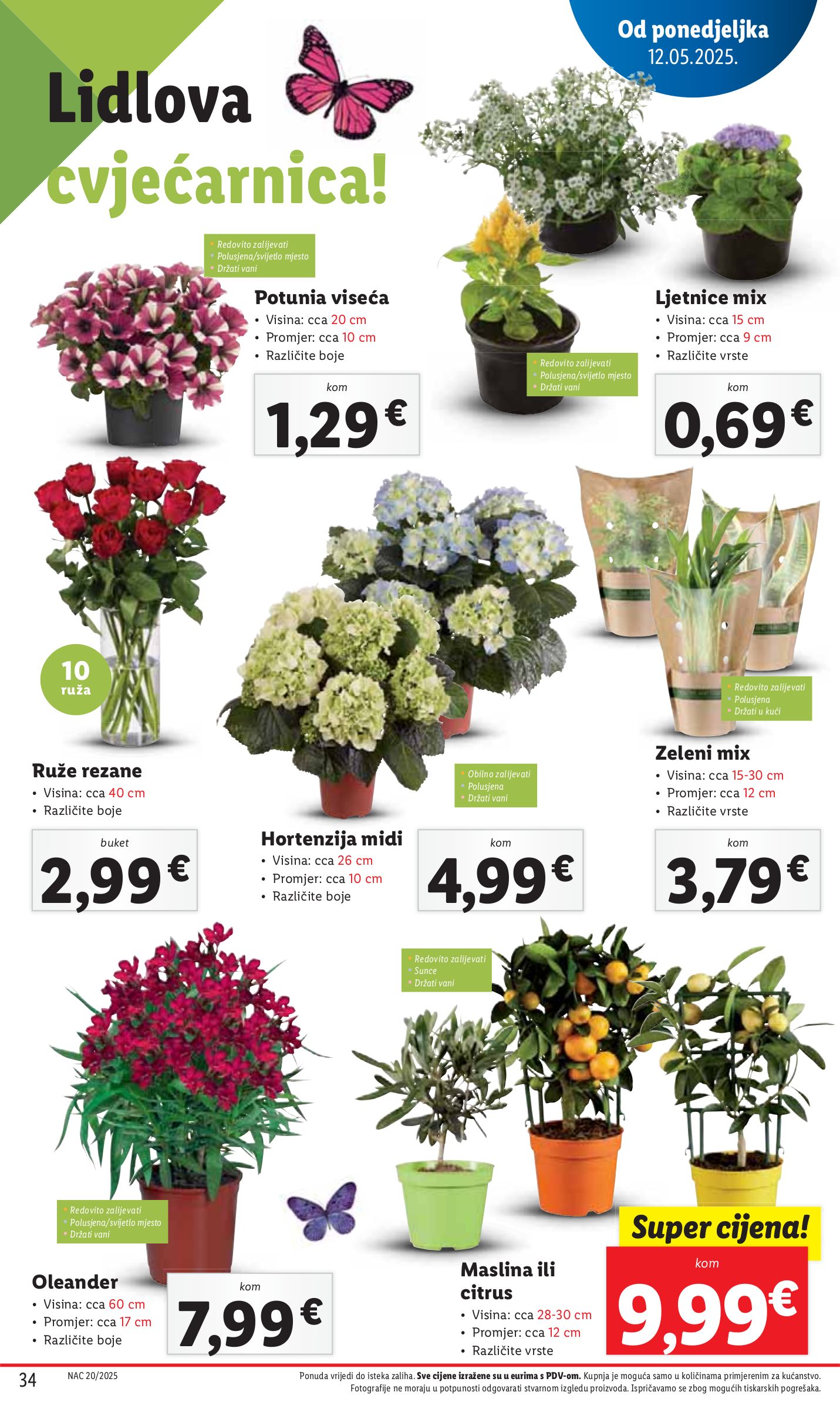 lidl - Prelistajte ovaj Lidl katalog, vrijedi od 12.05. do 18.05. - page: 34 lidl - Prelistajte ovaj Lidl katalog, vrijedi od 12.05. do 18.05. - page: 34
