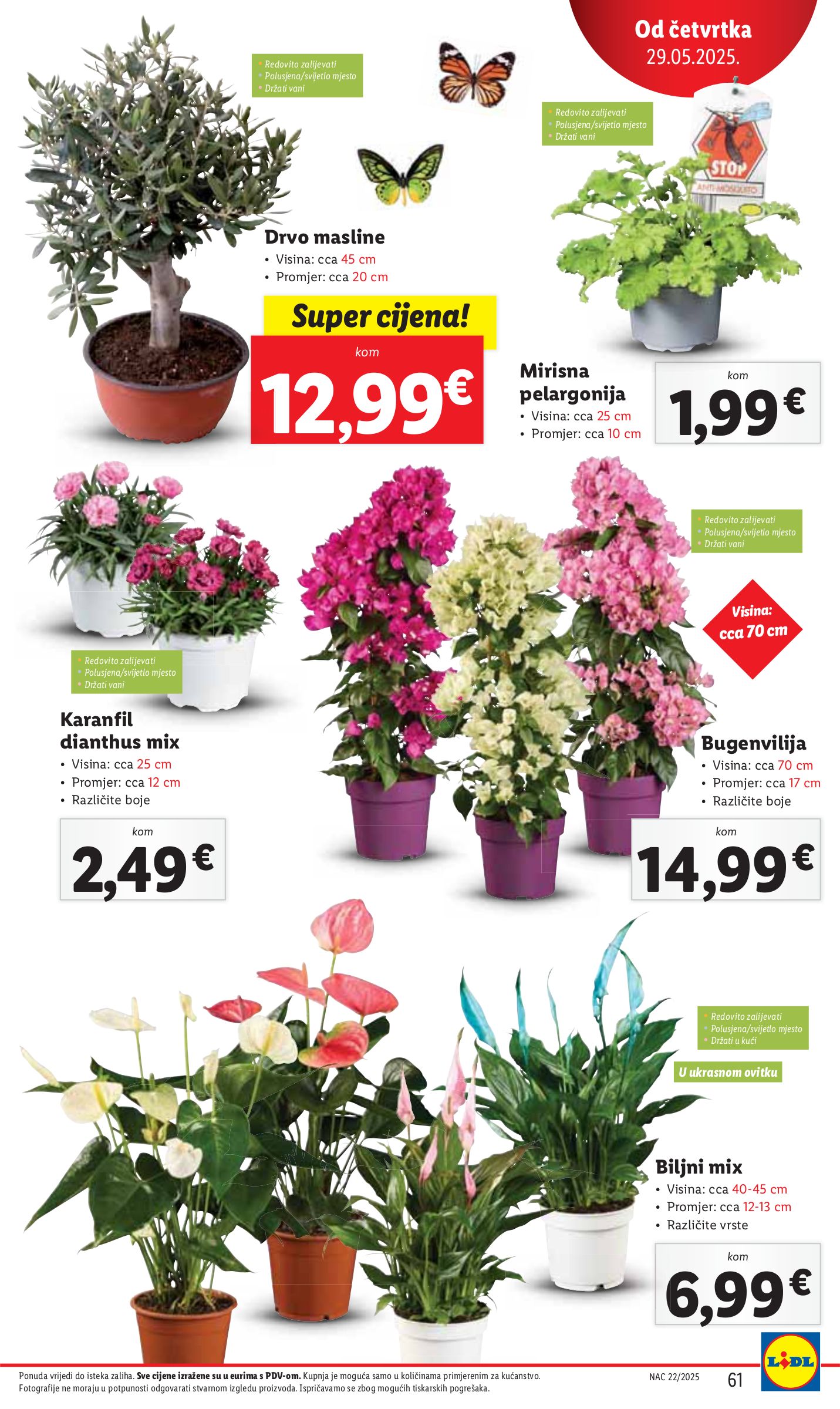 lidl - Prelistajte ovaj Lidl katalog, vrijedi od 26.05. do 01.06. - page: 61 lidl - Prelistajte ovaj Lidl katalog, vrijedi od 26.05. do 01.06. - page: 61