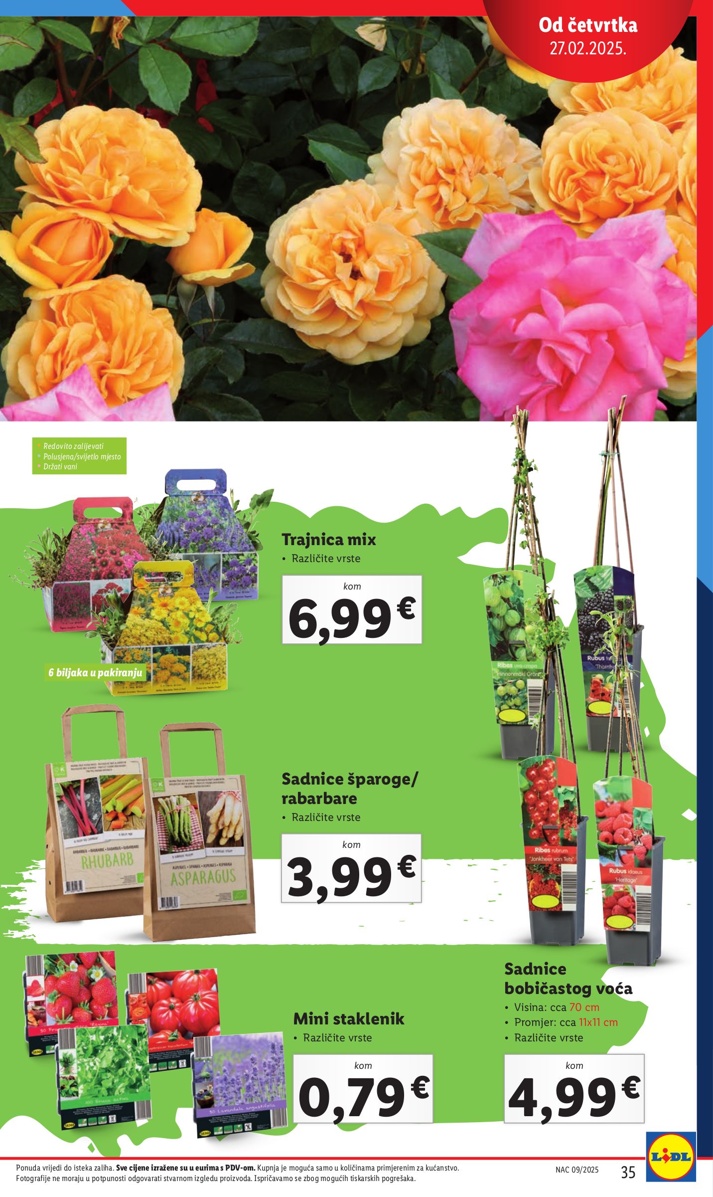 lidl - Prelistajte ovaj Lidl - Sve boje proljeća u vašem vrtu katalog, vrijedi od 26.05. do 01.06. - page: 35 lidl - Prelistajte ovaj Lidl - Sve boje proljeća u vašem vrtu katalog, vrijedi od 26.05. do 01.06. - page: 35