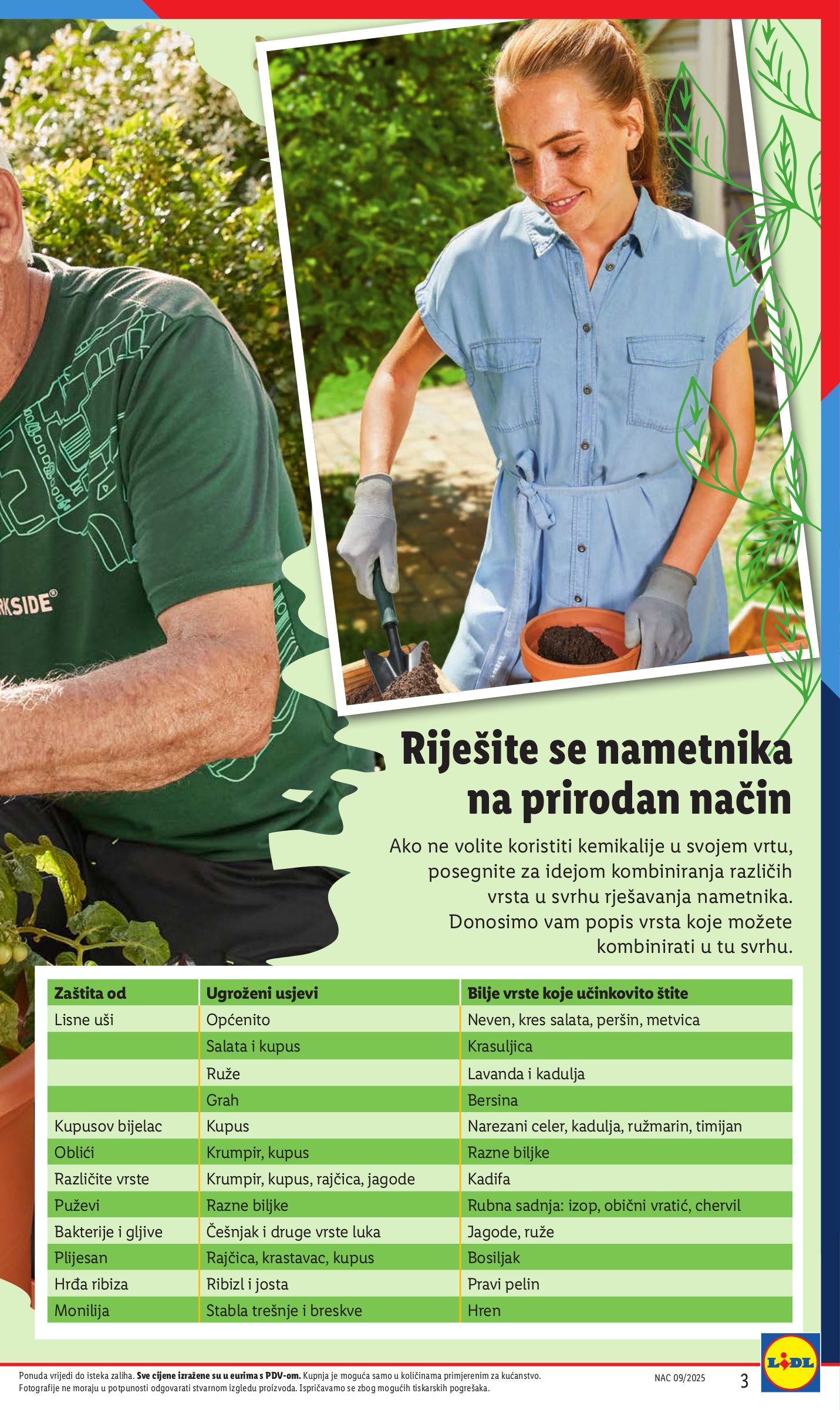 lidl - Prelistajte ovaj Lidl - Sve boje proljeća u vašem vrtu katalog, vrijedi od 26.05. do 01.06. - page: 3 lidl - Prelistajte ovaj Lidl - Sve boje proljeća u vašem vrtu katalog, vrijedi od 26.05. do 01.06. - page: 3