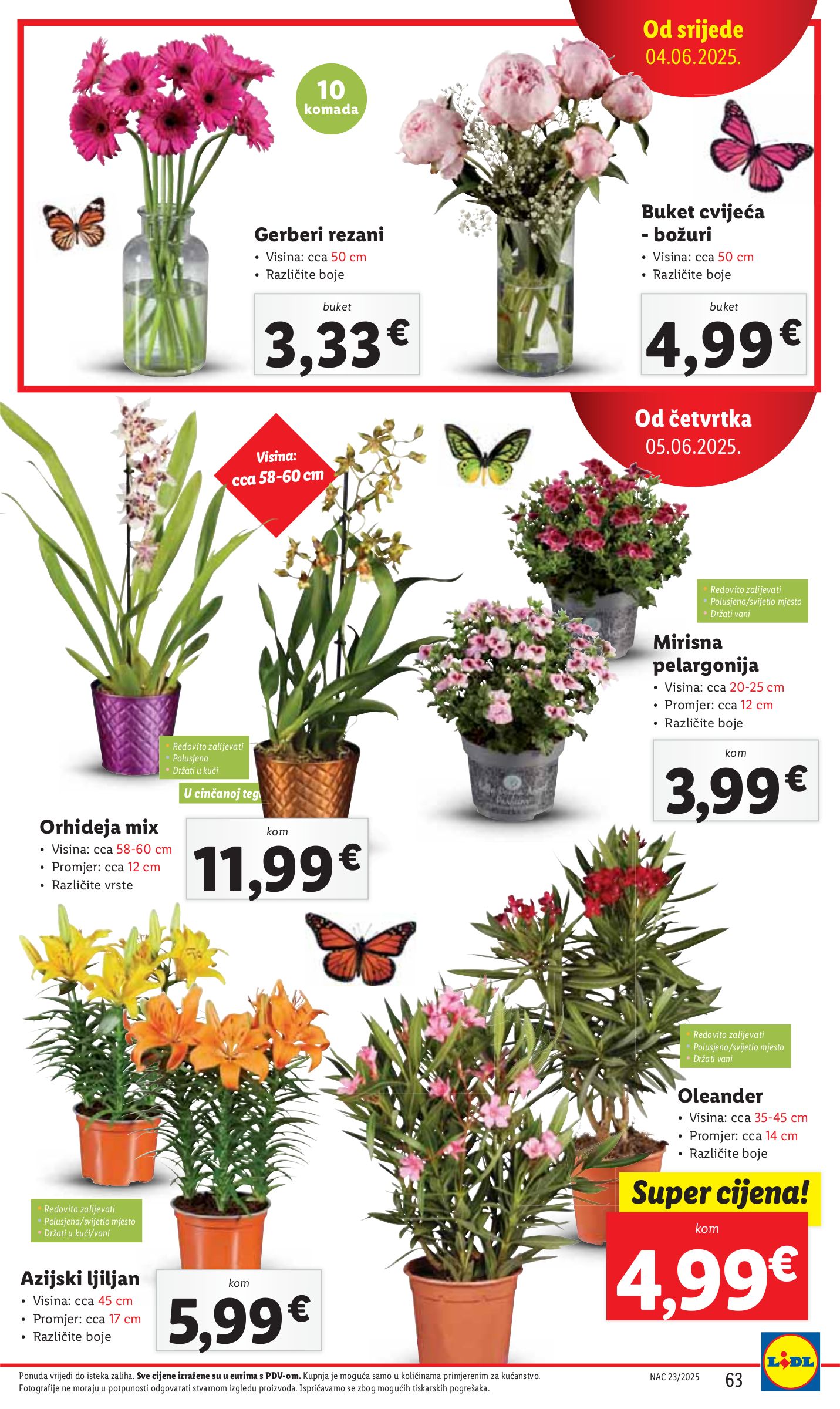lidl - Prelistajte ovaj Lidl katalog, vrijedi od 02.06. do 08.06. - page: 63 lidl - Prelistajte ovaj Lidl katalog, vrijedi od 02.06. do 08.06. - page: 63