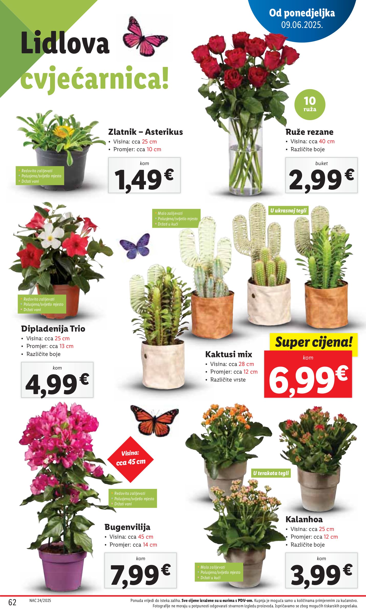 lidl - Prelistajte katalog Lidl, vrijedi od 09.06. do 15.06. - page: 62 lidl - Prelistajte katalog Lidl, vrijedi od 09.06. do 15.06. - page: 62
