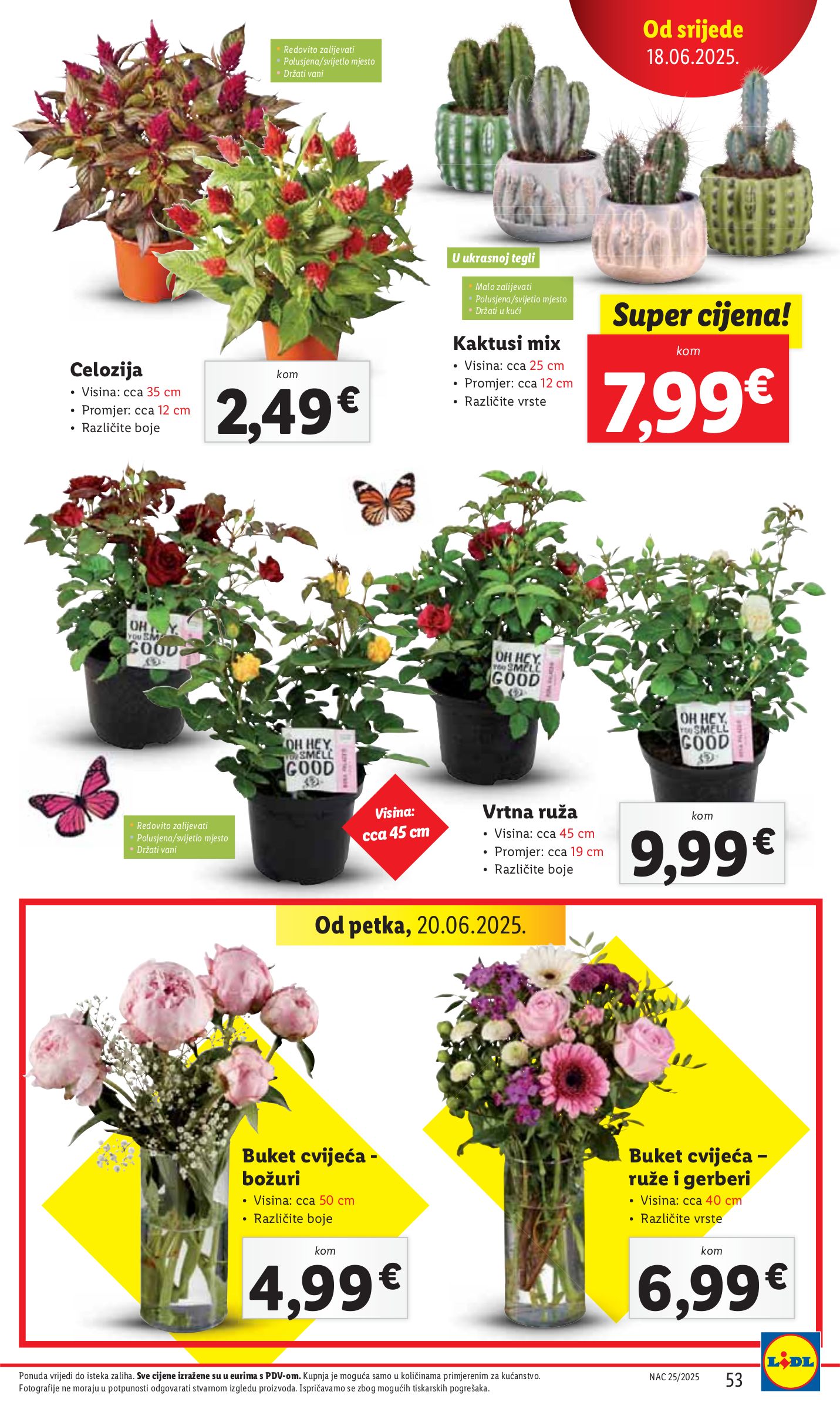 lidl - Prelistajte katalog Lidl, vrijedi od 16.06. do 21.06. - page: 53 lidl - Prelistajte katalog Lidl, vrijedi od 16.06. do 21.06. - page: 53