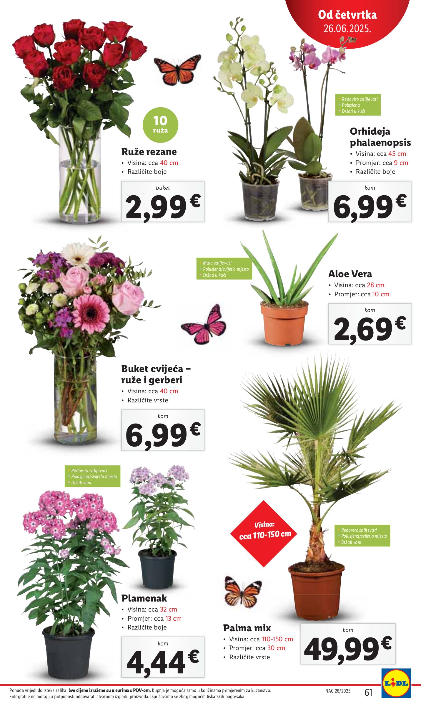 lidl - Prelistajte katalog Lidl, vrijedi od 23.06. do 29.06. - page: 61