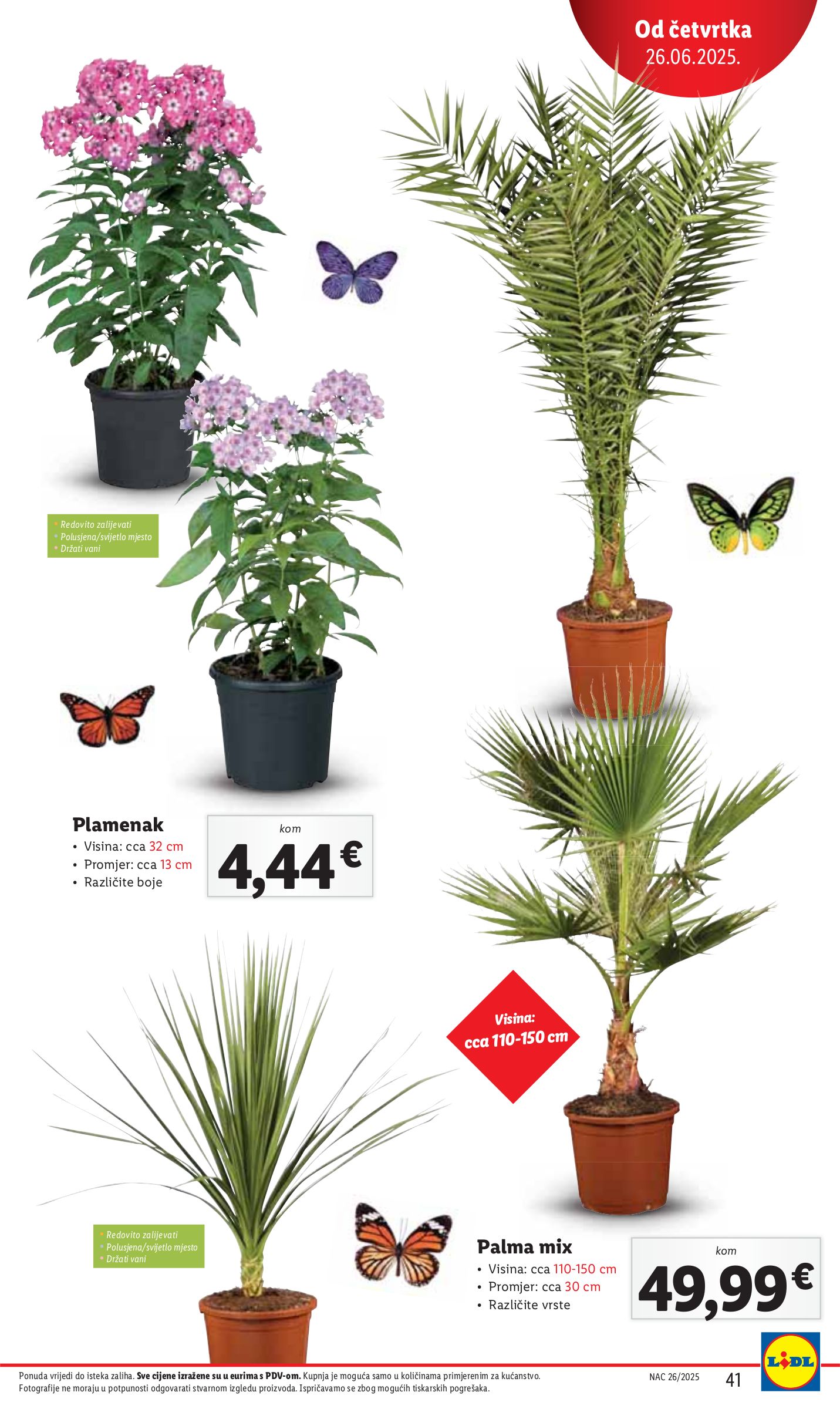 lidl - Prelistajte katalog Lidl, vrijedi od 26.06. do 29.06. - page: 41 lidl - Prelistajte katalog Lidl, vrijedi od 26.06. do 29.06. - page: 41