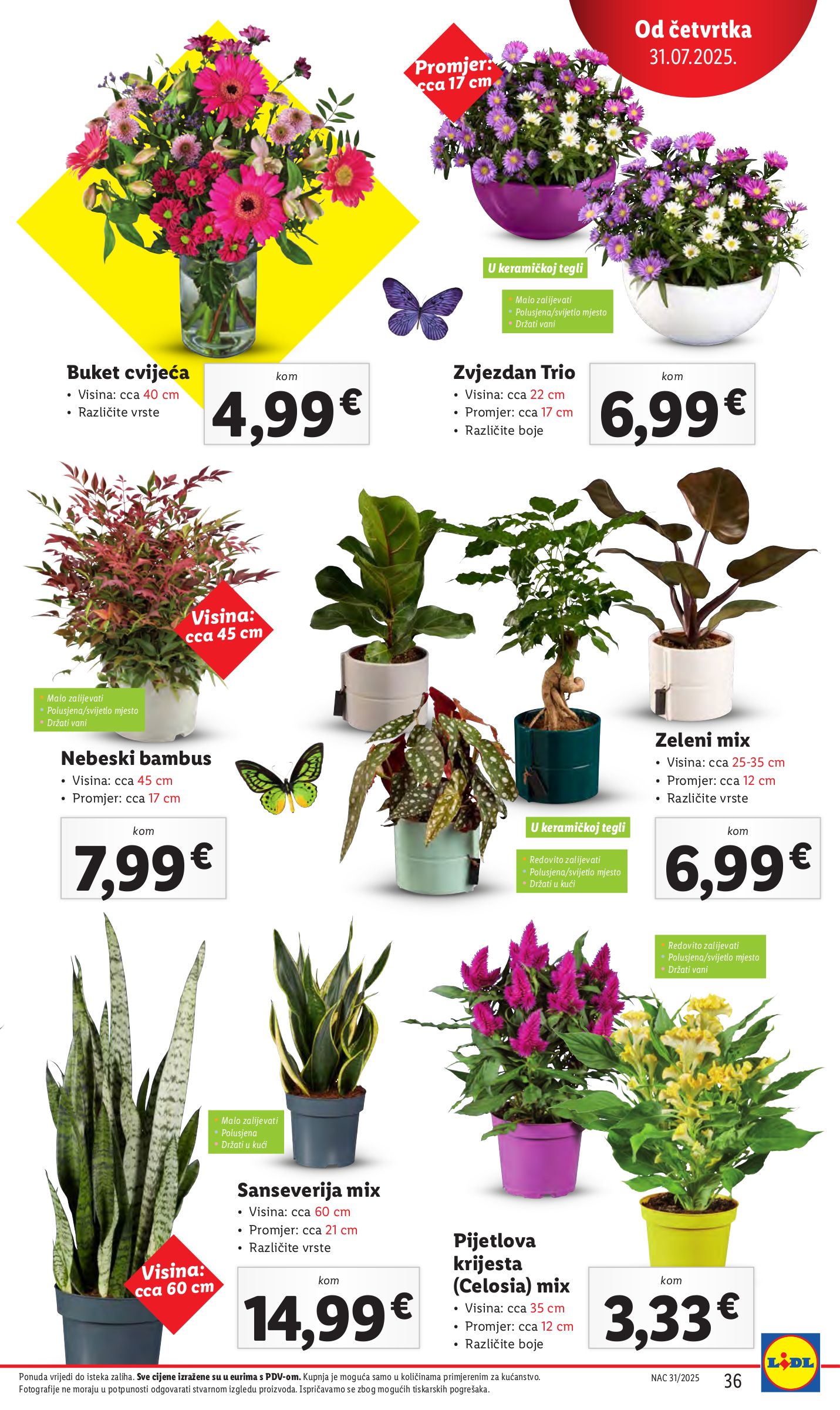 lidl - Prelistajte katalog Lidl, vrijedi od 31.07. do 03.08. - page: 36 lidl - Prelistajte katalog Lidl, vrijedi od 31.07. do 03.08. - page: 36