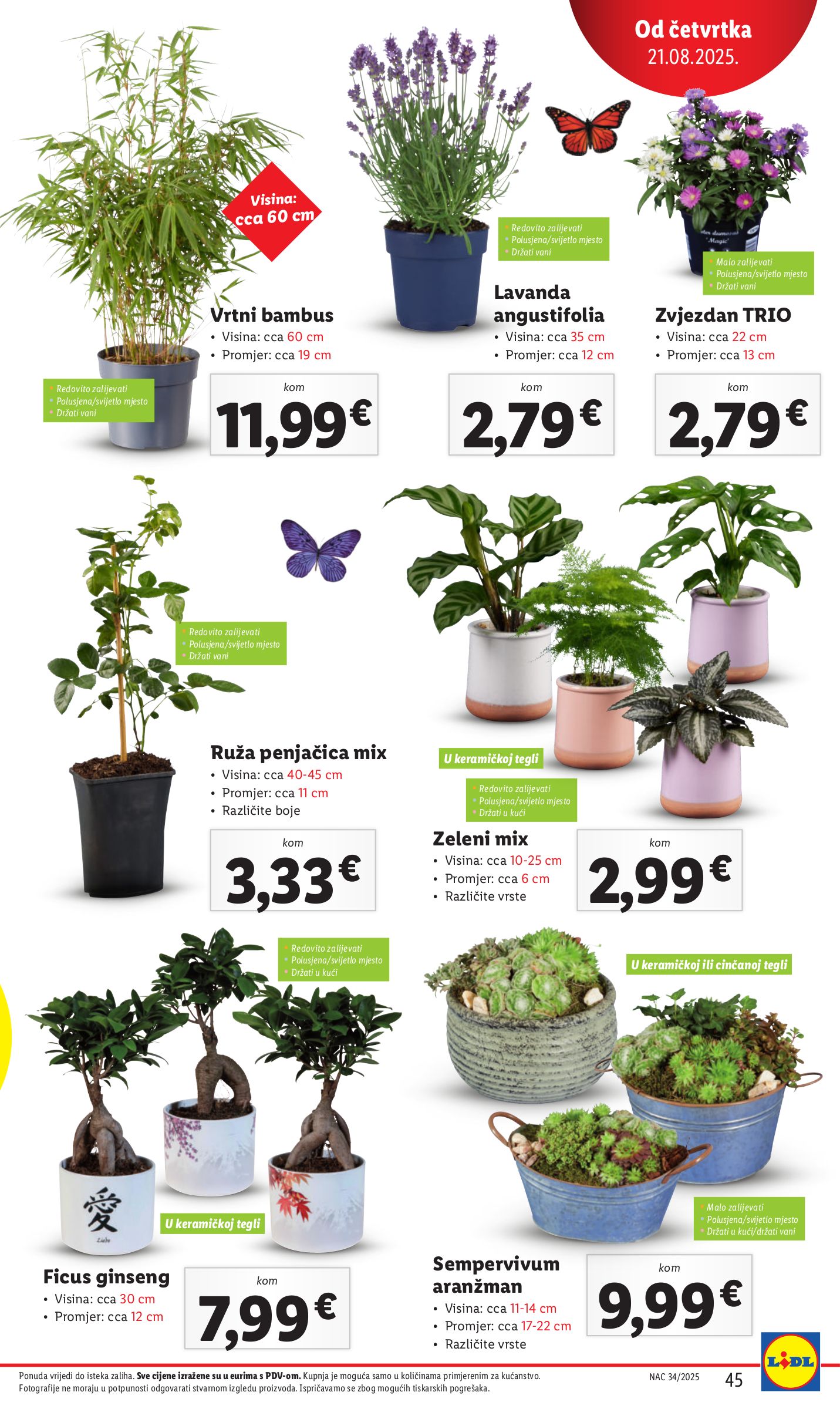 lidl - Prelistajte katalog Lidl, vrijedi od 18.08. do 24.08. - page: 45