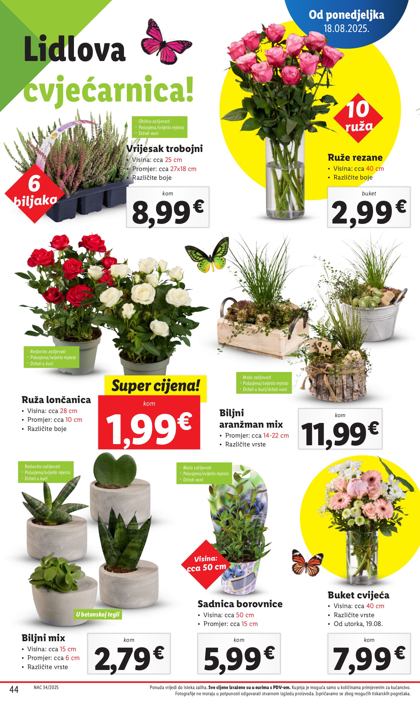 lidl - Prelistajte katalog Lidl, vrijedi od 18.08. do 24.08. - page: 44
