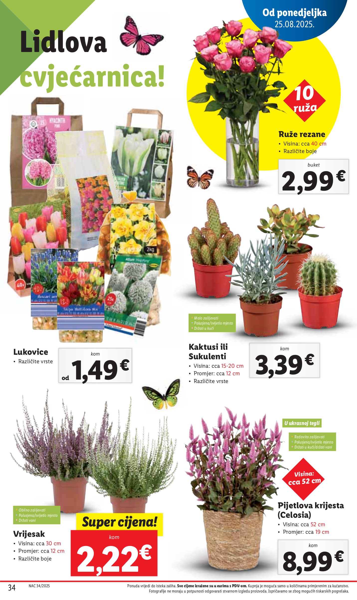 lidl - Prelistajte katalog Lidl, vrijedi od 28.08. do 31.08. - page: 34 lidl - Prelistajte katalog Lidl, vrijedi od 28.08. do 31.08. - page: 34