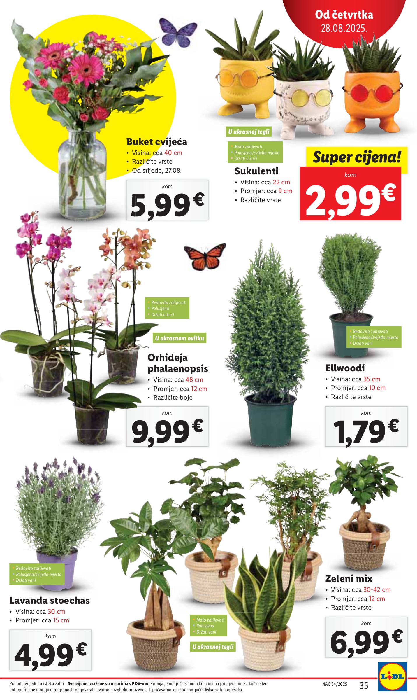 lidl - Prelistajte katalog Lidl, vrijedi od 28.08. do 31.08. - page: 35 lidl - Prelistajte katalog Lidl, vrijedi od 28.08. do 31.08. - page: 35