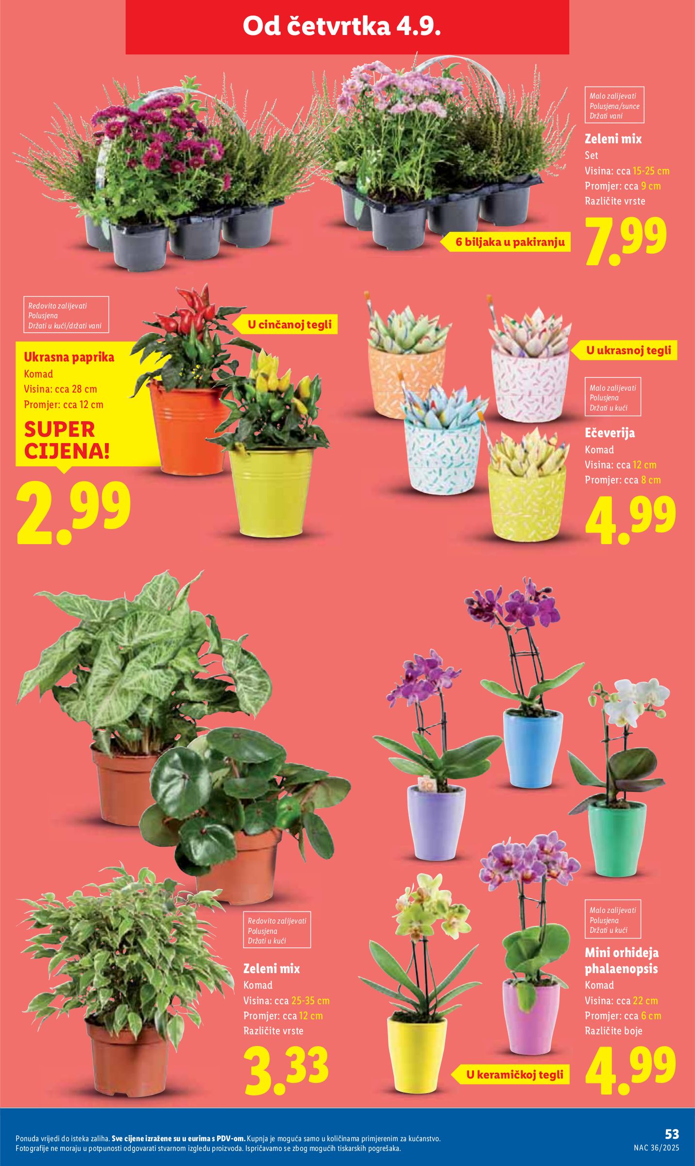 lidl - Prelistajte katalog Lidl, vrijedi od 01.09. do 07.09. - page: 53 lidl - Prelistajte katalog Lidl, vrijedi od 01.09. do 07.09. - page: 53