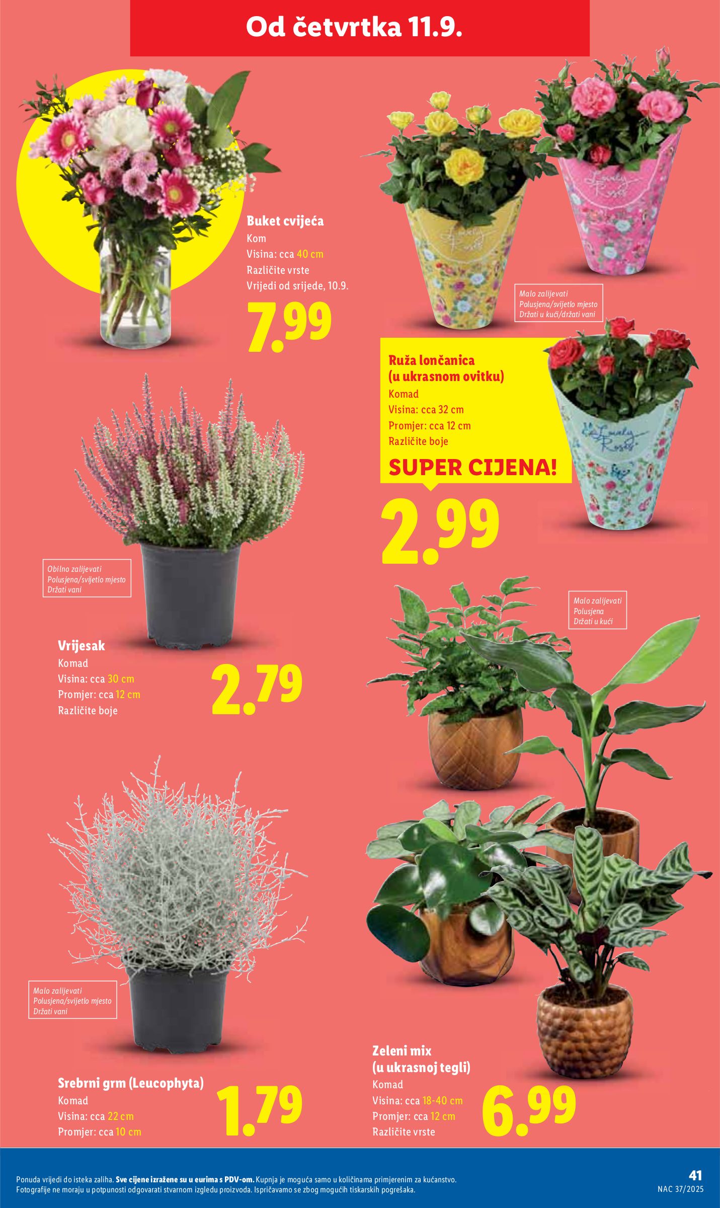 lidl - Prelistajte katalog Lidl, vrijedi od 11.09. do 14.09. - page: 41 lidl - Prelistajte katalog Lidl, vrijedi od 11.09. do 14.09. - page: 41