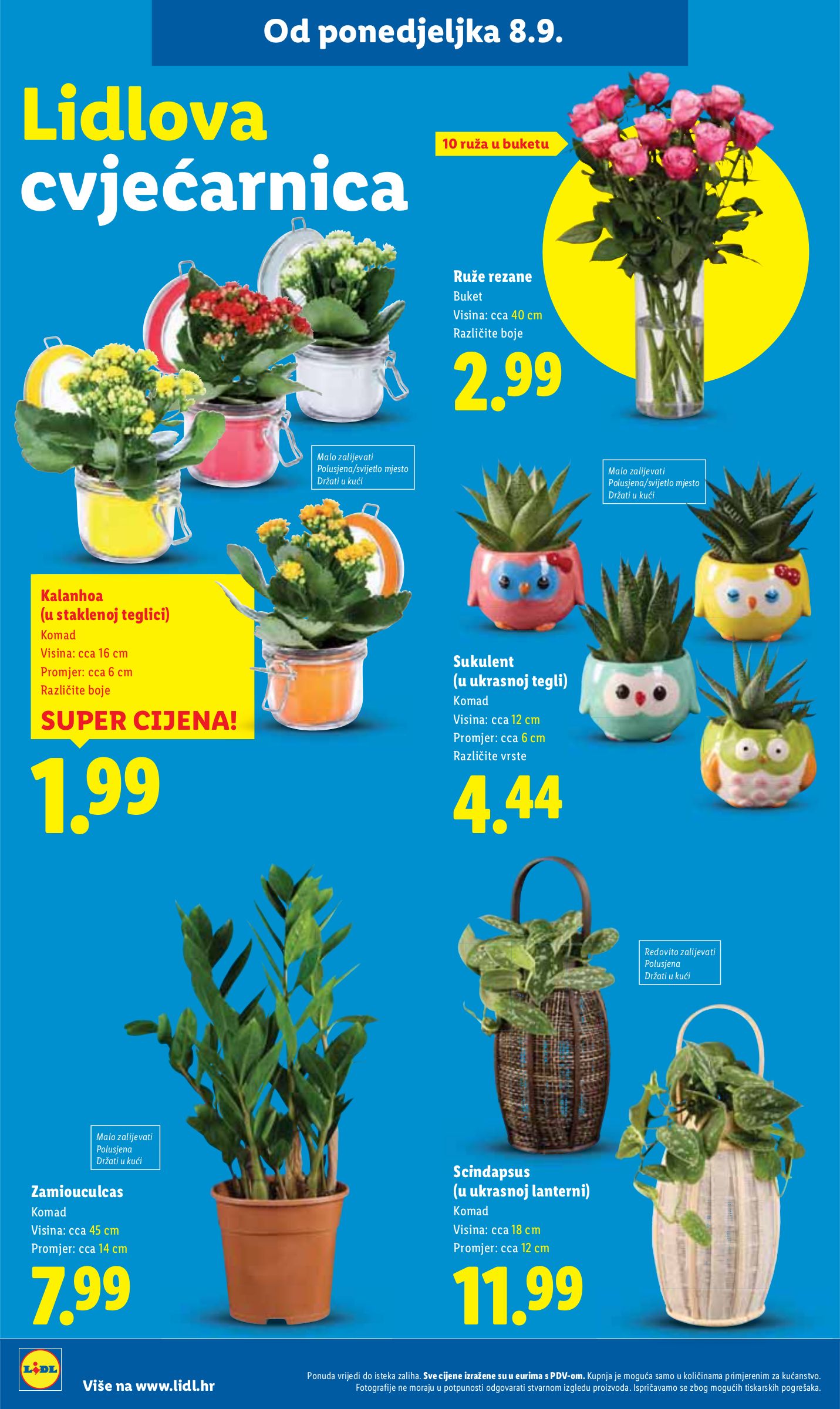 lidl - Prelistajte katalog Lidl, vrijedi od 11.09. do 14.09. - page: 40 lidl - Prelistajte katalog Lidl, vrijedi od 11.09. do 14.09. - page: 40