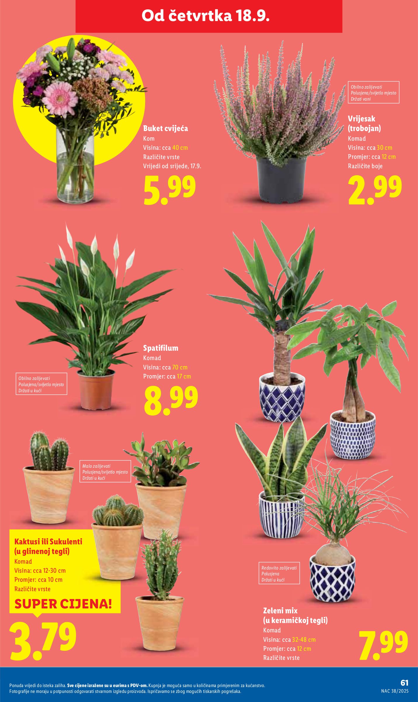 lidl - Prelistajte katalog Lidl, vrijedi od 15.09. do 21.09. - page: 61 lidl - Prelistajte katalog Lidl, vrijedi od 15.09. do 21.09. - page: 61