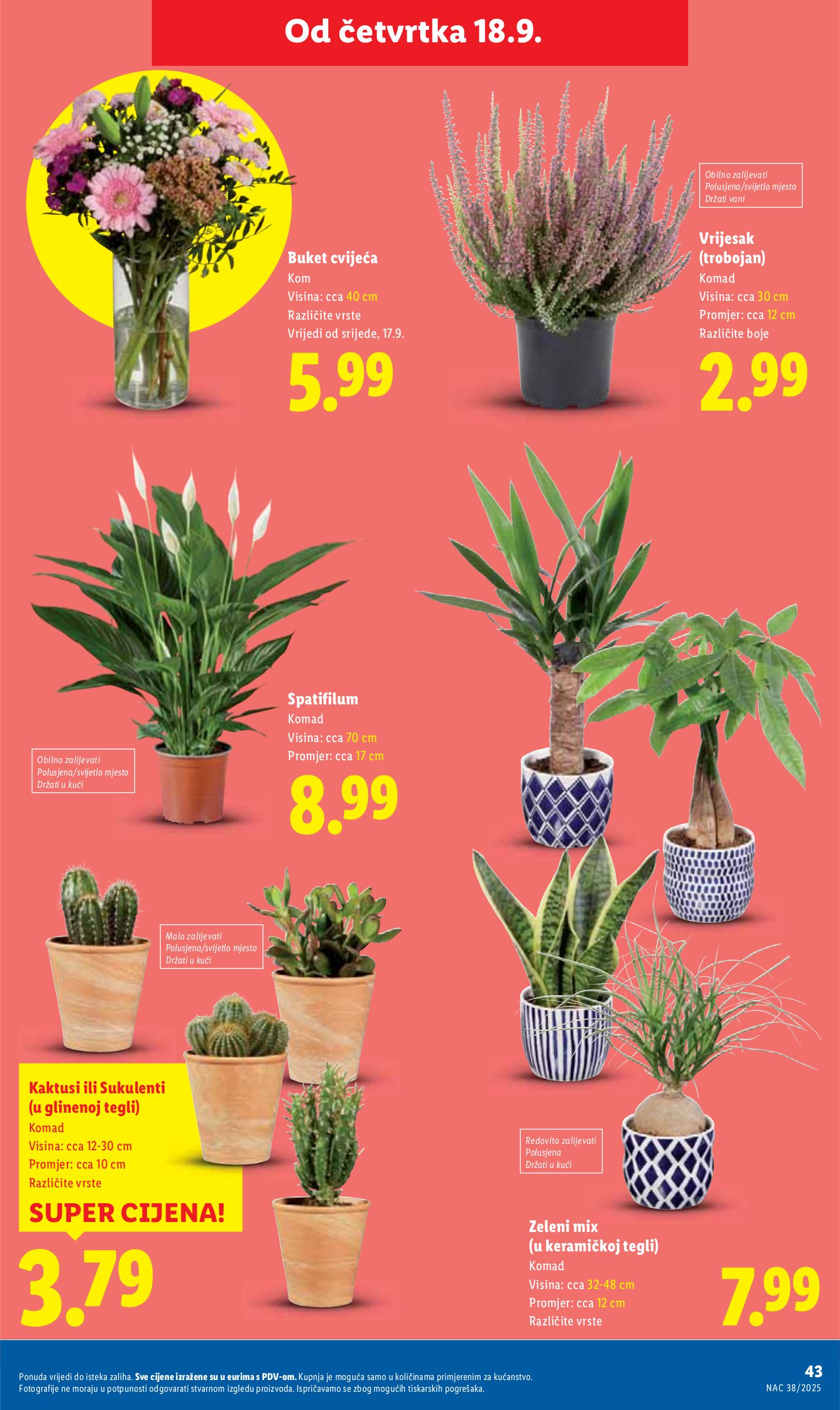 lidl - Prelistajte katalog Lidl, vrijedi od 18.09. do 21.09. - page: 43