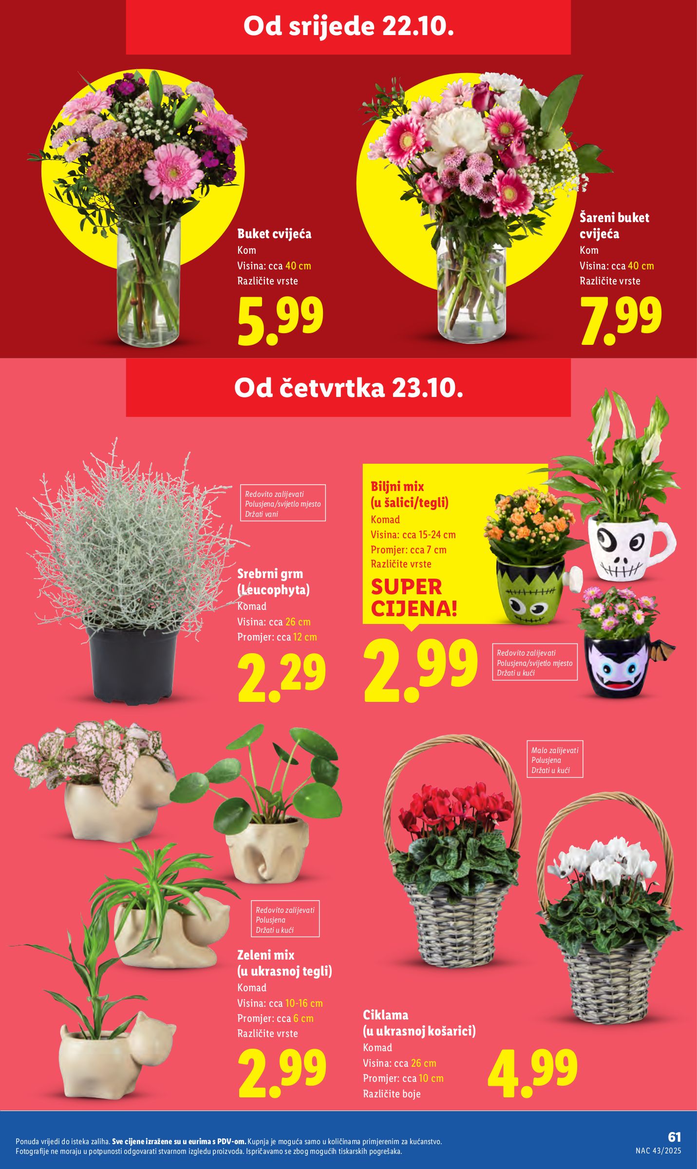 lidl - Prelistajte katalog Lidl, vrijedi od 20.10. do 26.10. - page: 61 lidl - Prelistajte katalog Lidl, vrijedi od 20.10. do 26.10. - page: 61