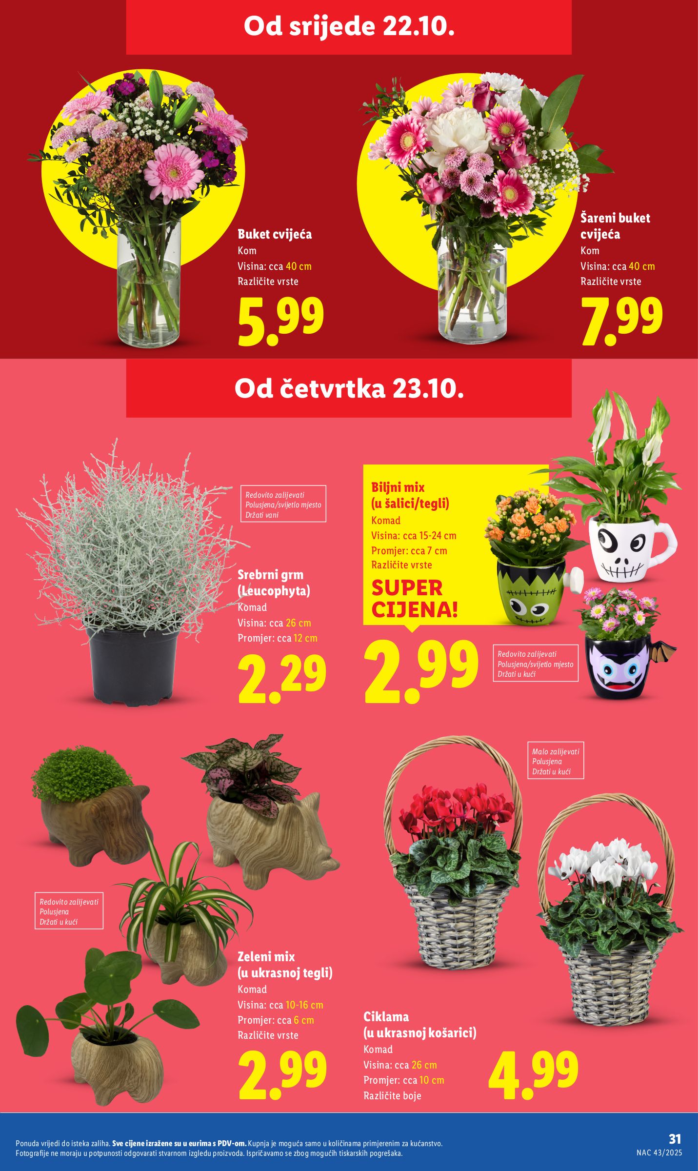lidl - Prelistajte katalog Lidl, vrijedi od 23.10. do 26.10. - page: 31