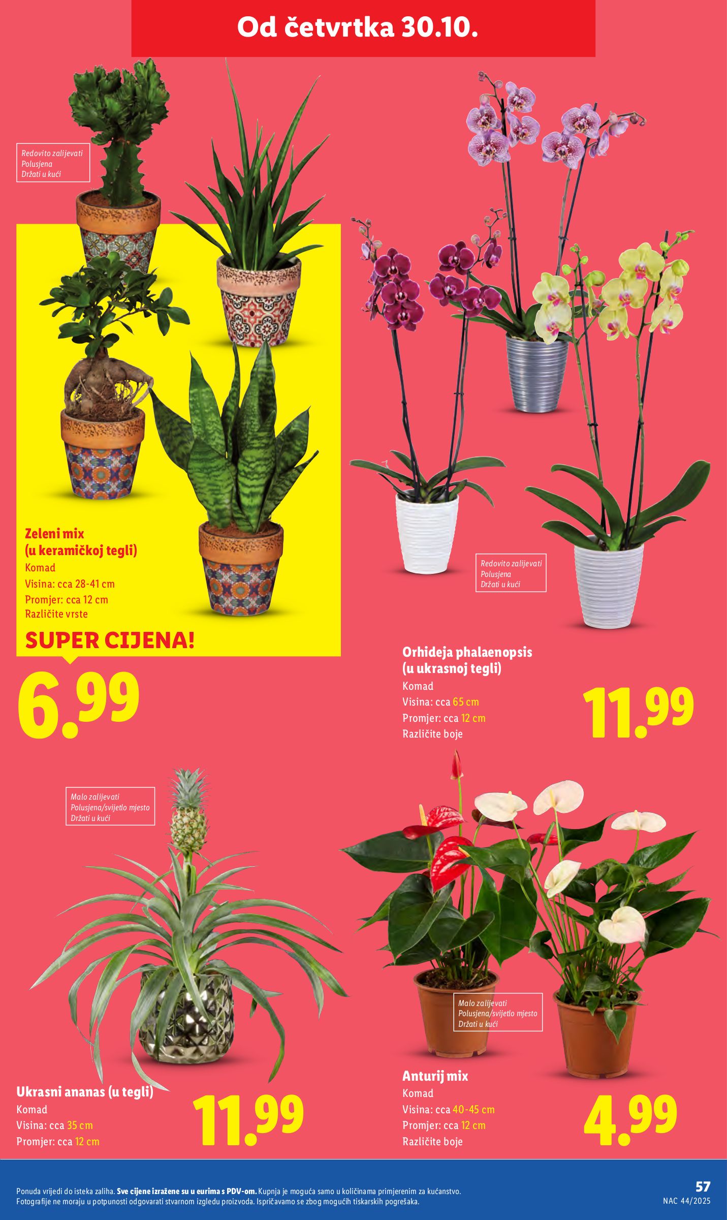 lidl - Prelistajte katalog Lidl, vrijedi od 27.10. do 02.11. - page: 57 lidl - Prelistajte katalog Lidl, vrijedi od 27.10. do 02.11. - page: 57
