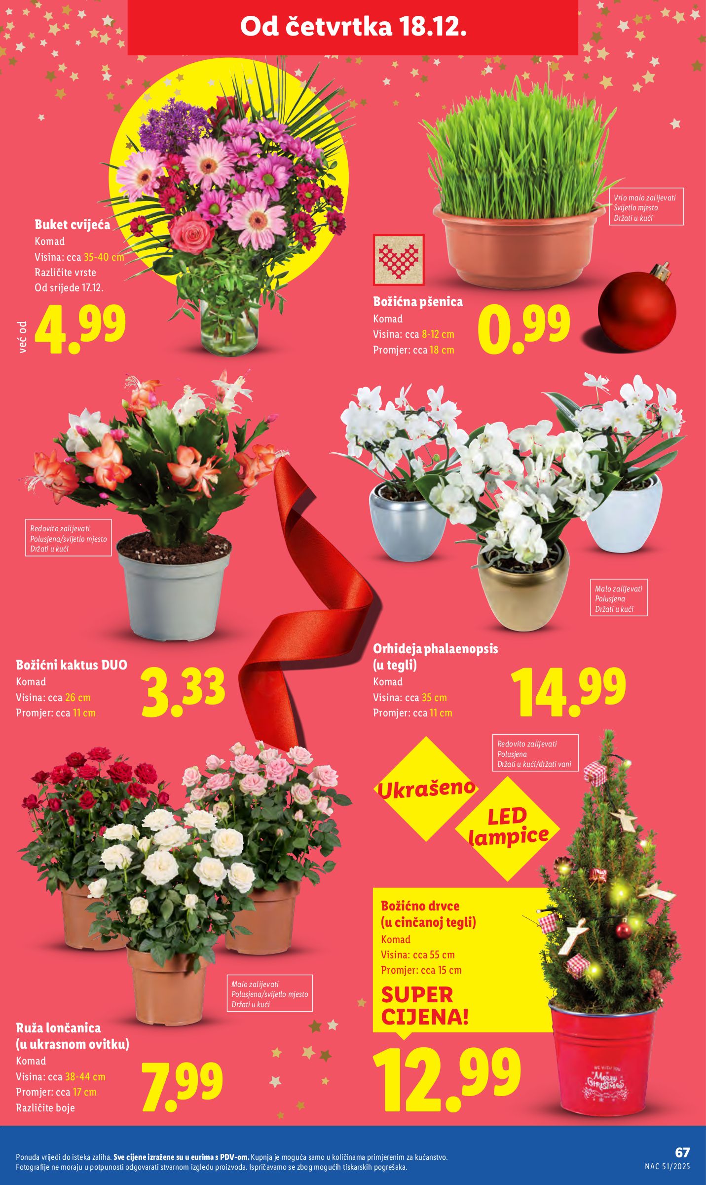 lidl - Prelistajte katalog Lidl, vrijedi od 15.12. do 24.12. - page: 67