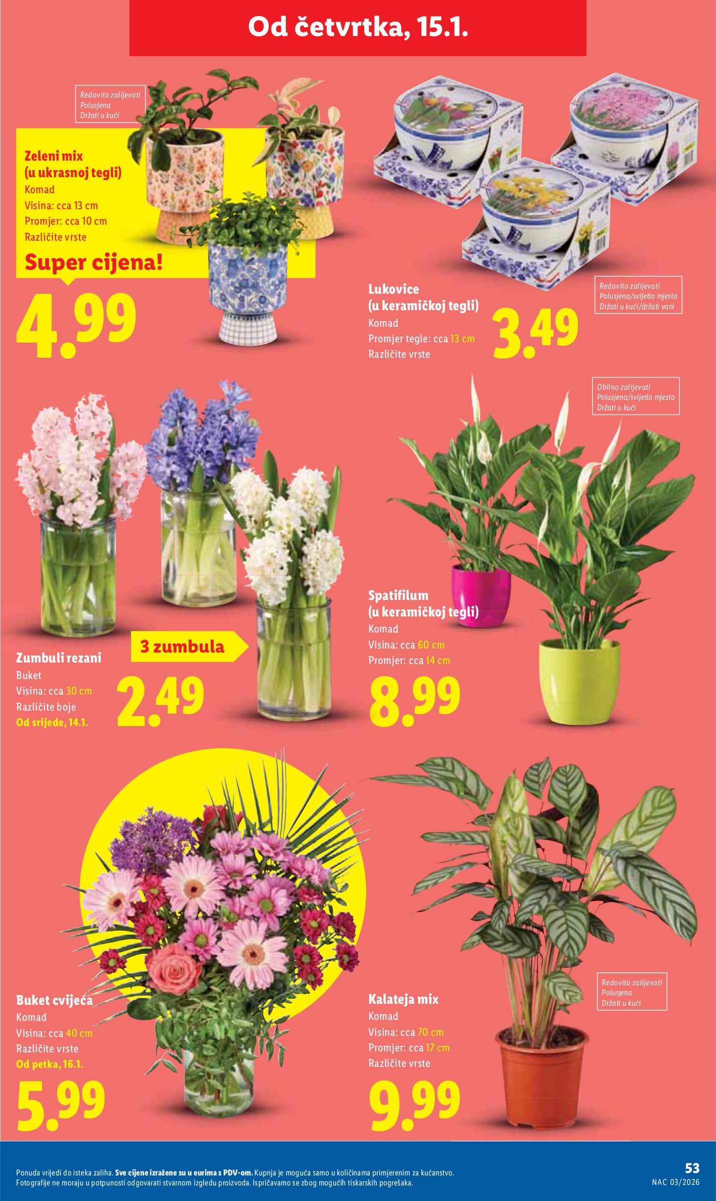 lidl - Prelistajte katalog Lidl, vrijedi od 12.01. do 18.01. - page: 53