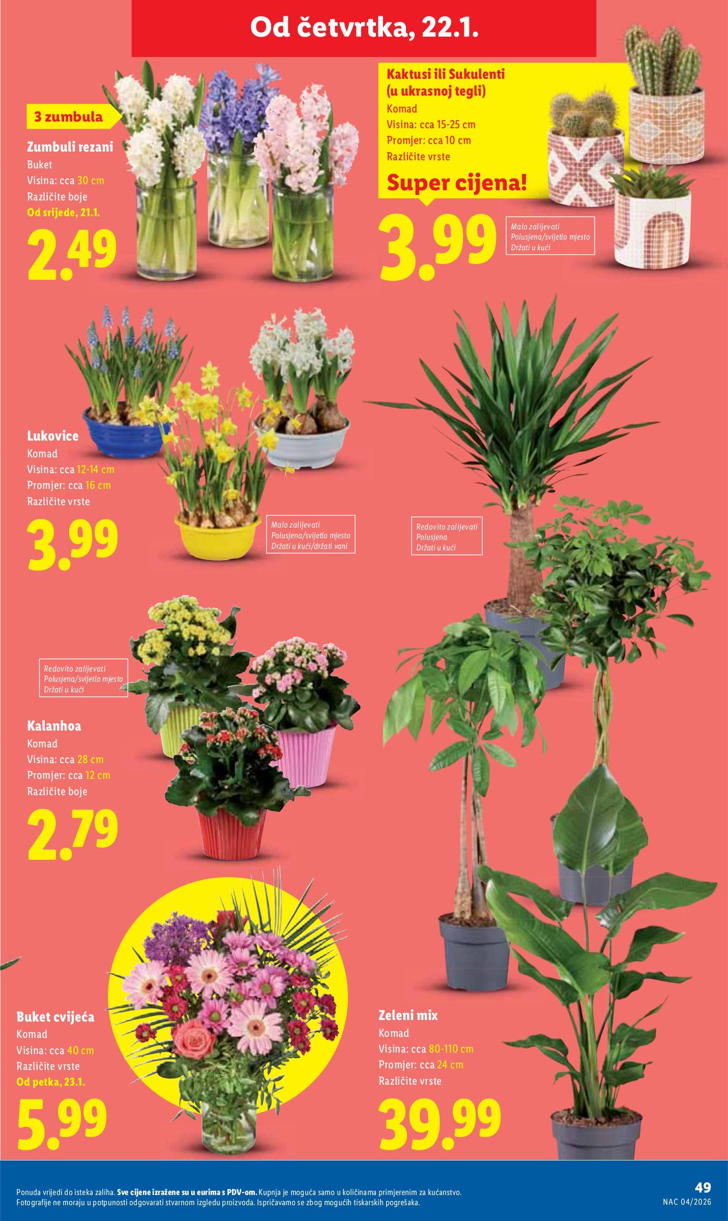 lidl - Prelistajte katalog Lidl, vrijedi od 19.01. do 25.01. - page: 49