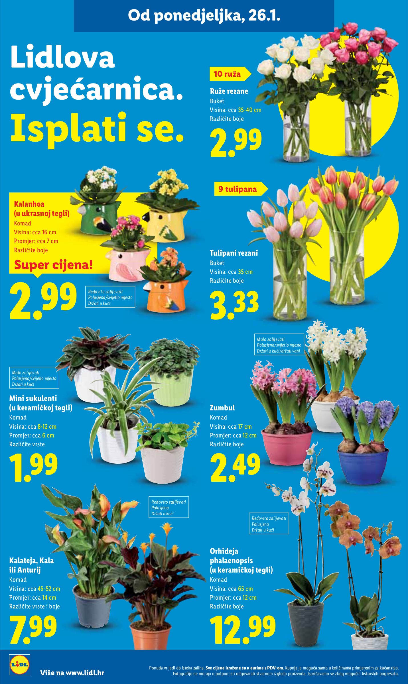 lidl - Prelistajte katalog Lidl, vrijedi od 26.01. do 01.02. - page: 38