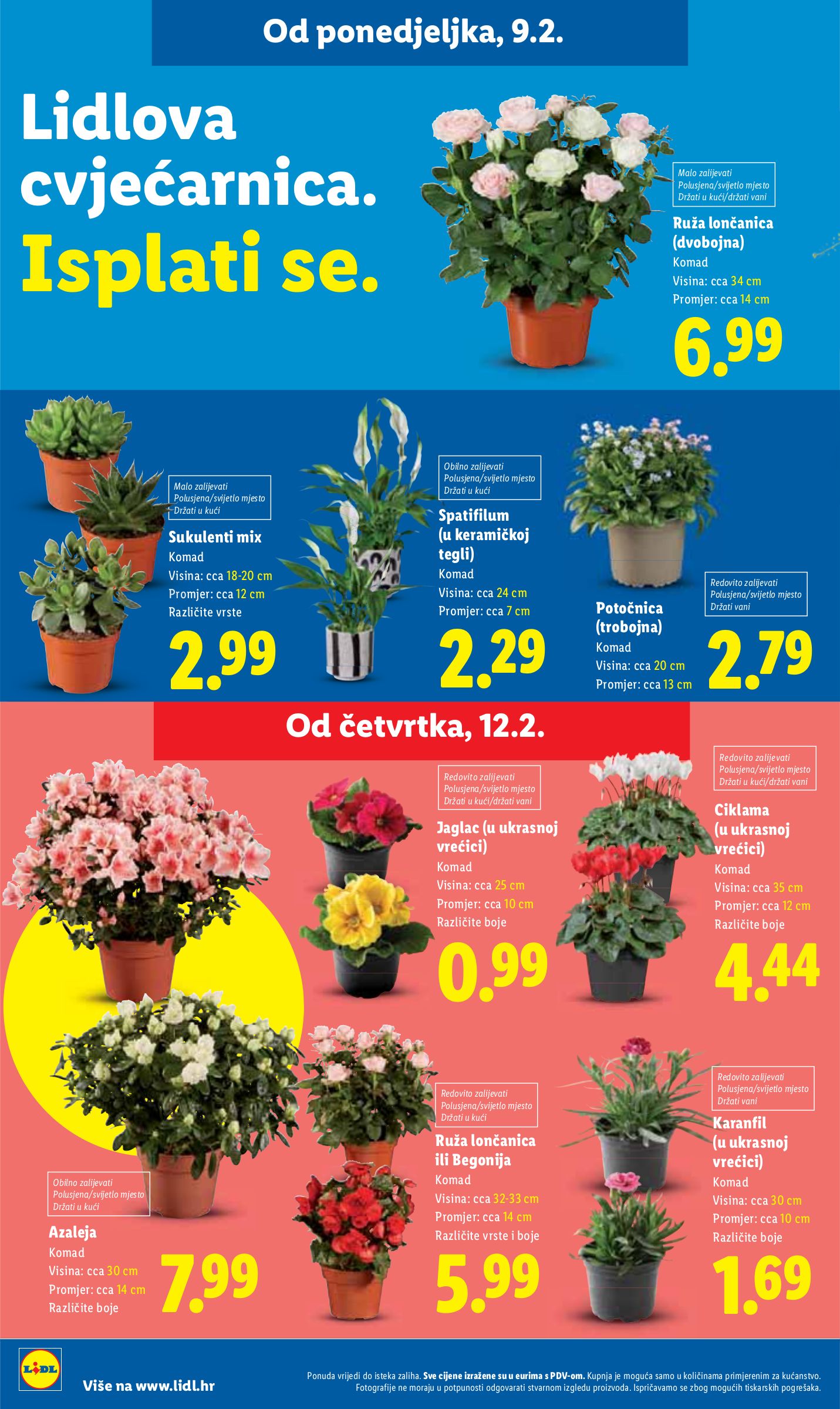 lidl - Prelistajte katalog Lidl, vrijedi od 09.02.2026 do 14.02.2026 - page: 56