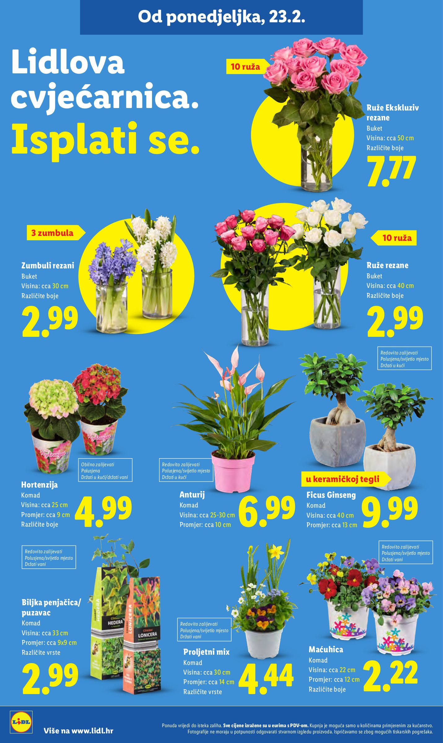 lidl - Prelistajte katalog Lidl, vrijedi od 23.02.2026 do 01.03.2026 - page: 32