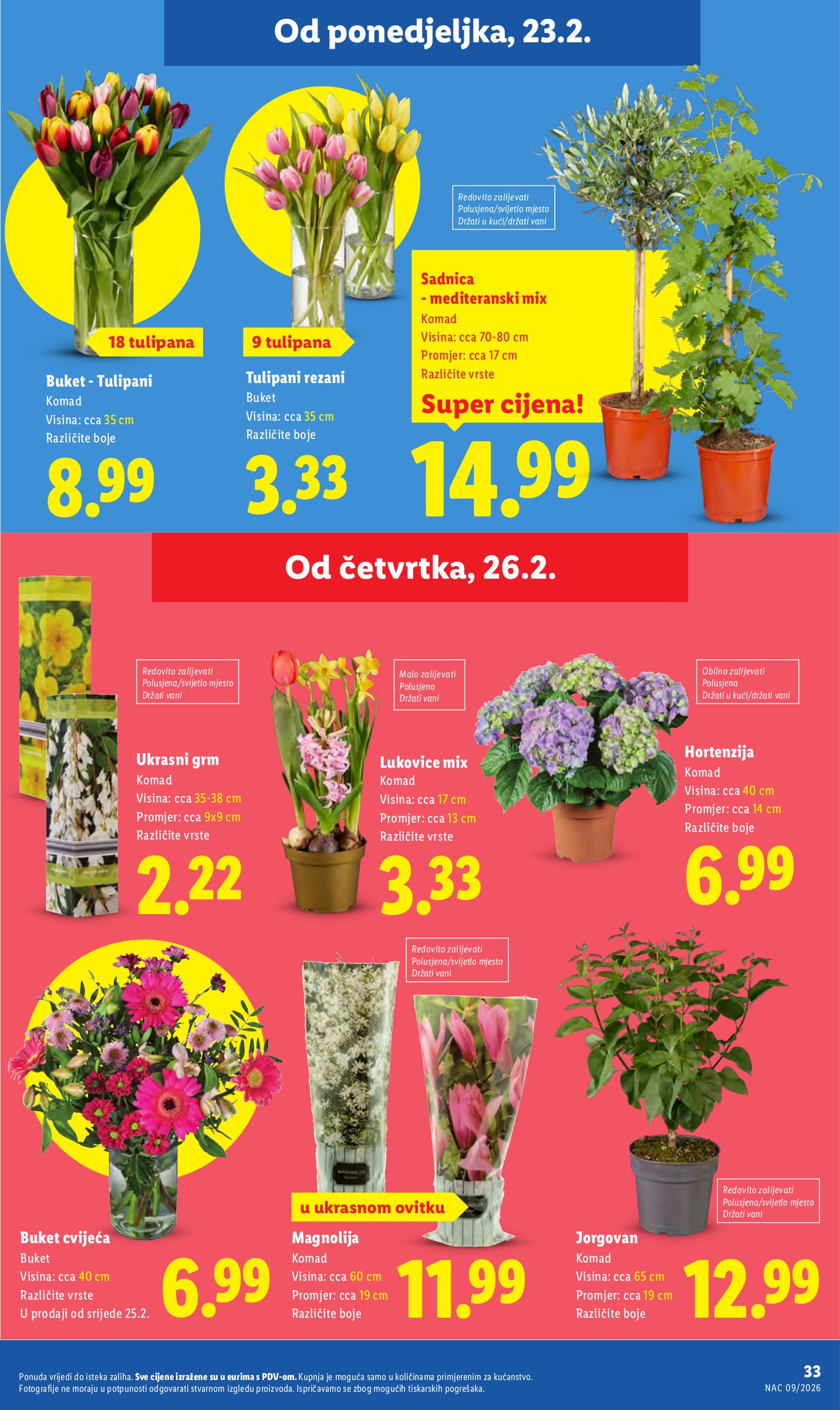 lidl - Prelistajte katalog Lidl, vrijedi od 23.02.2026 do 01.03.2026 - page: 33