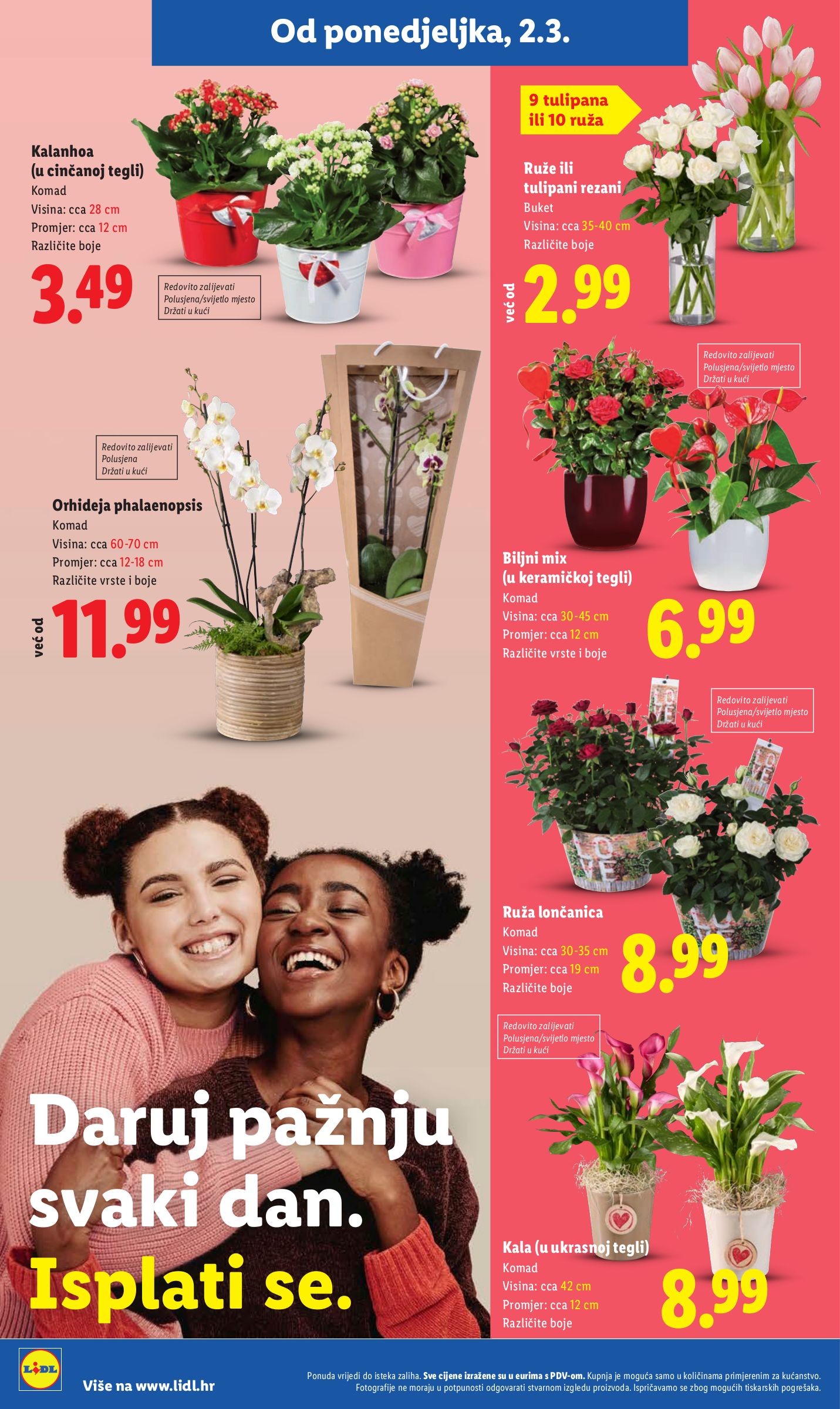 lidl - Prelistajte katalog Lidl, vrijedi od 02.03.2026 do 08.03.2026 - page: 48