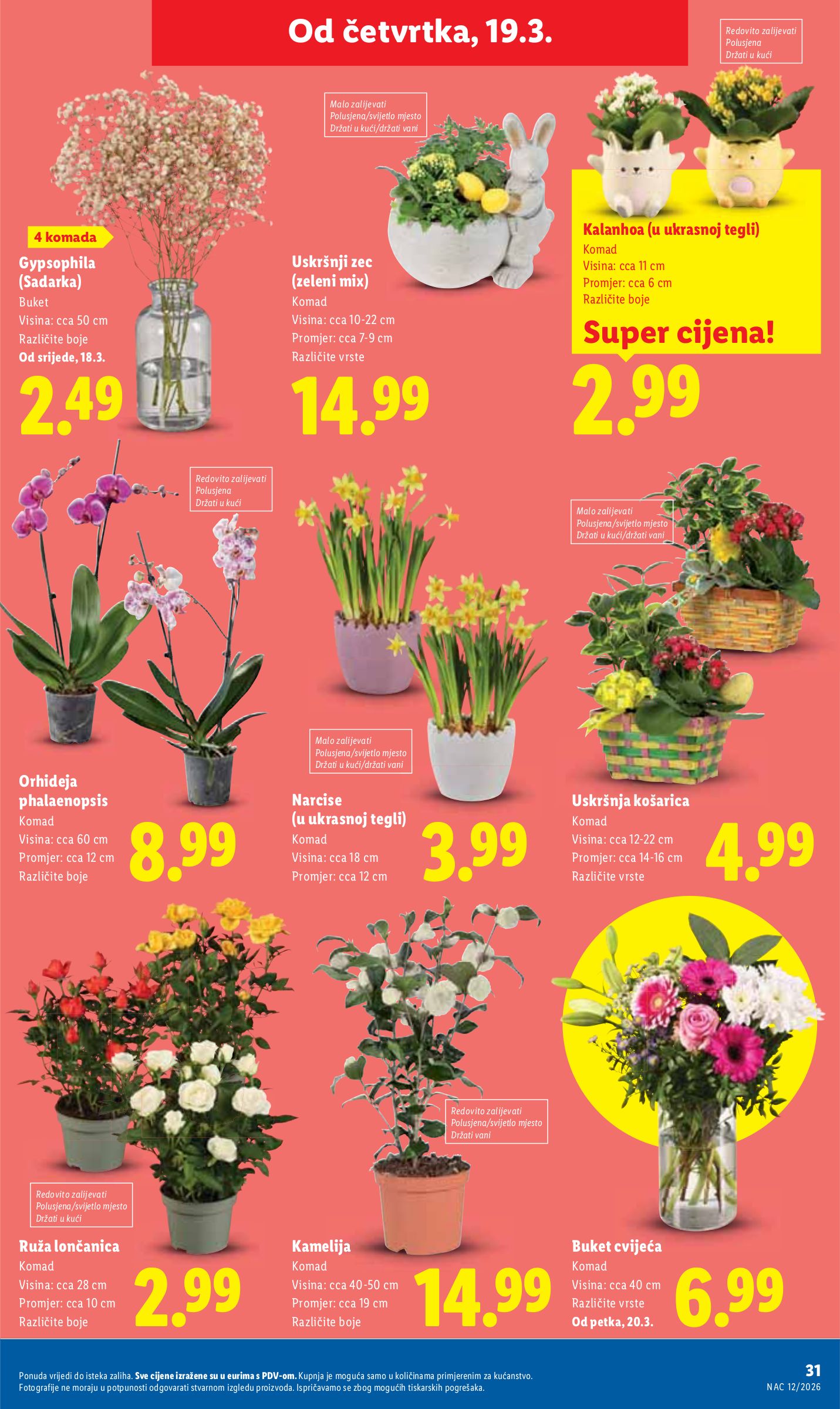 lidl - Prelistajte katalog Lidl, vrijedi od 16.03.2026 do 22.03.2026 - page: 31