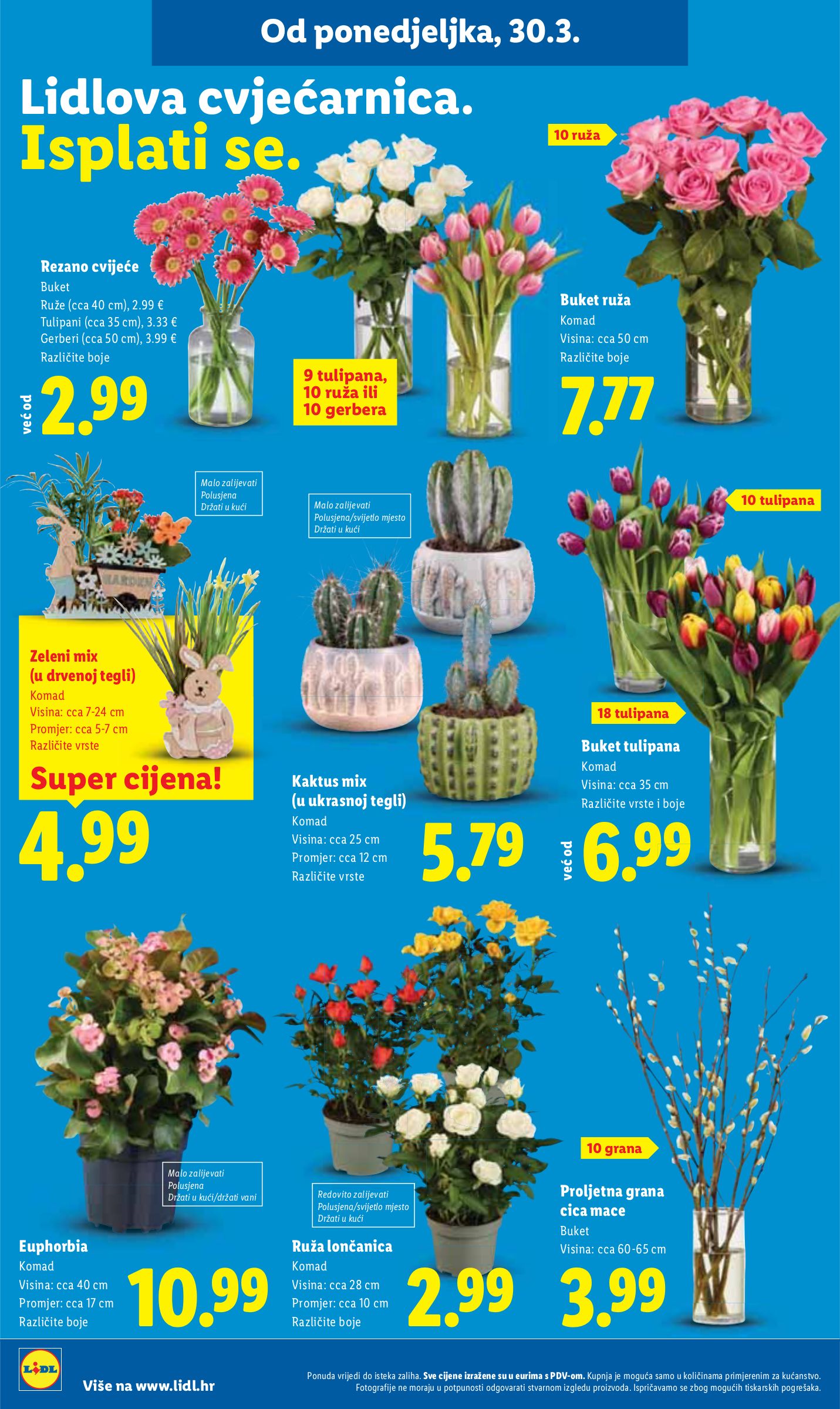 lidl - Prelistajte katalog Lidl, vrijedi od 30.03.2026 do 04.04.2026 - page: 42