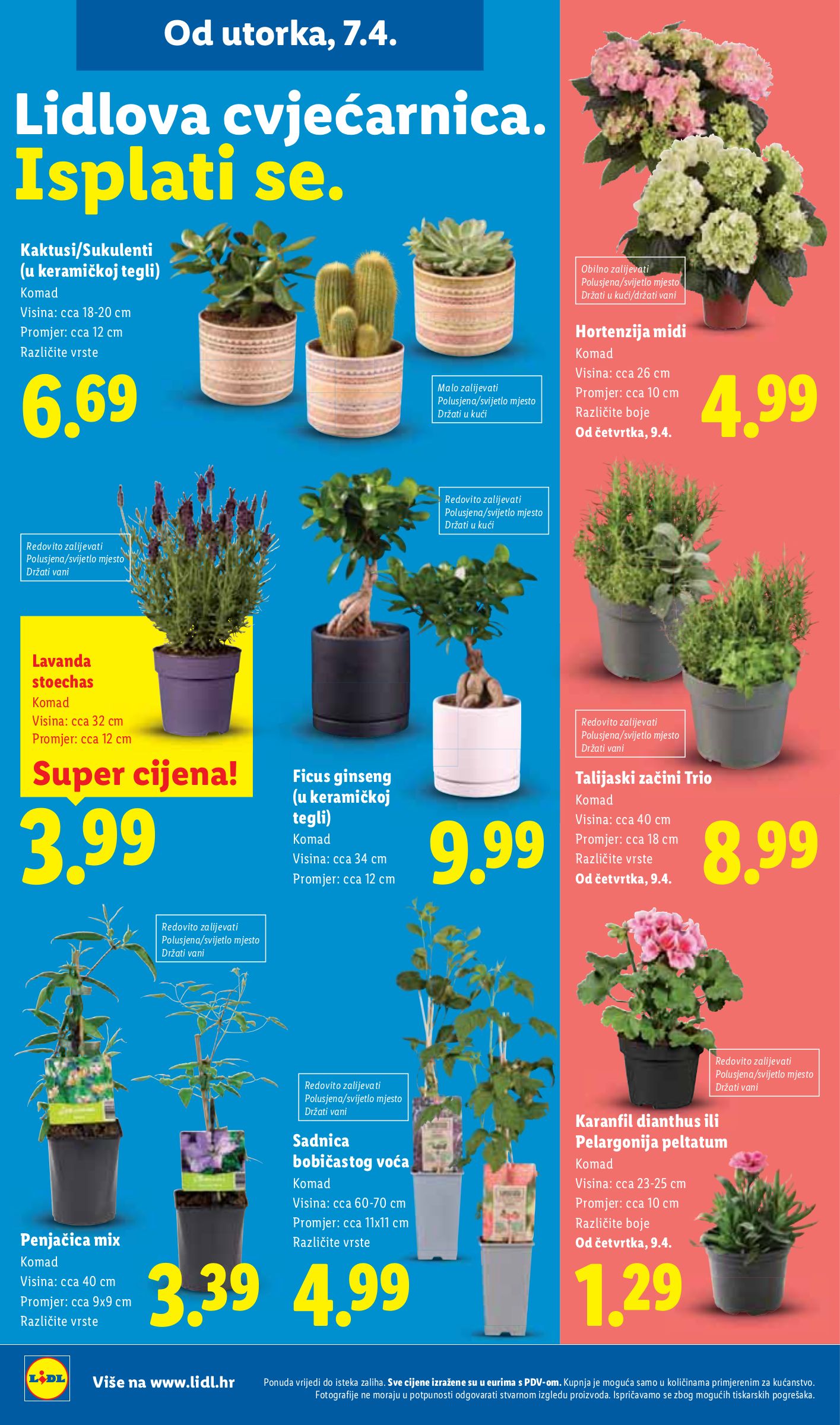 lidl - Aktualni Lidl katalog vrijedi od utorka 07.04.2026 do nedjelje 12.04.2026 - page: 50