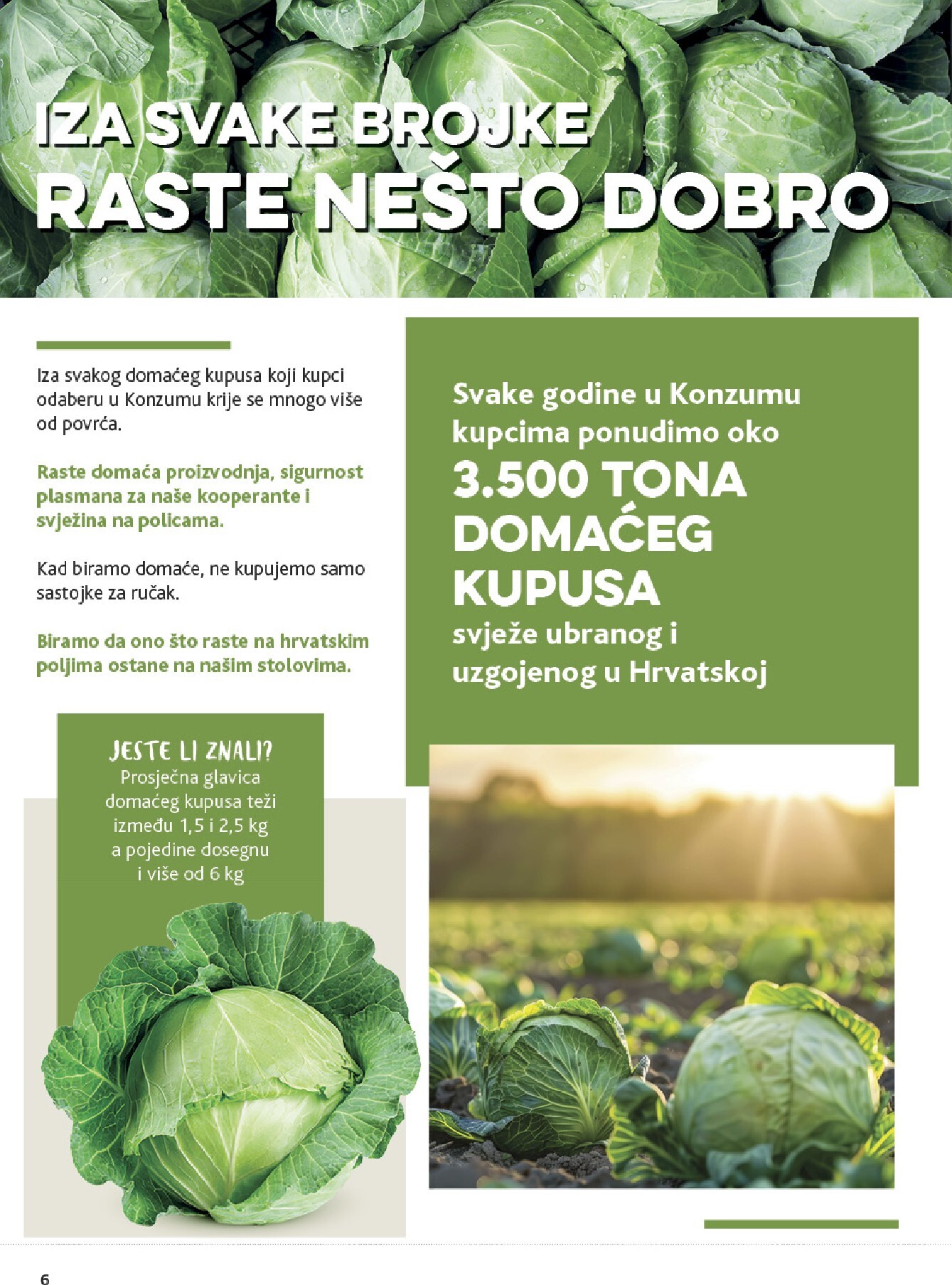 konzum - Novi Konzum katalog od srijede, 28.10.2026 do utorka, 03.11.2026 - page: 6